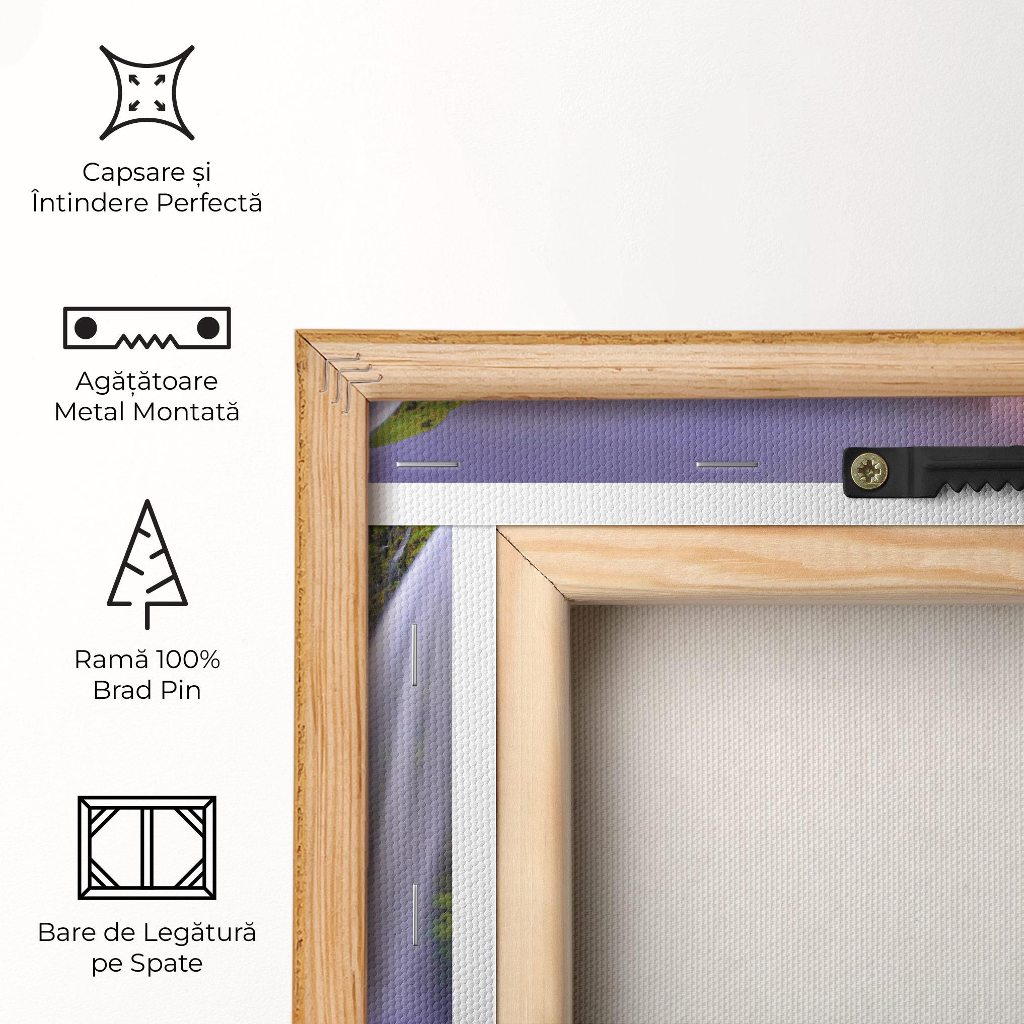 Tablou Canvas Pink Wky Waterfall mockup 5