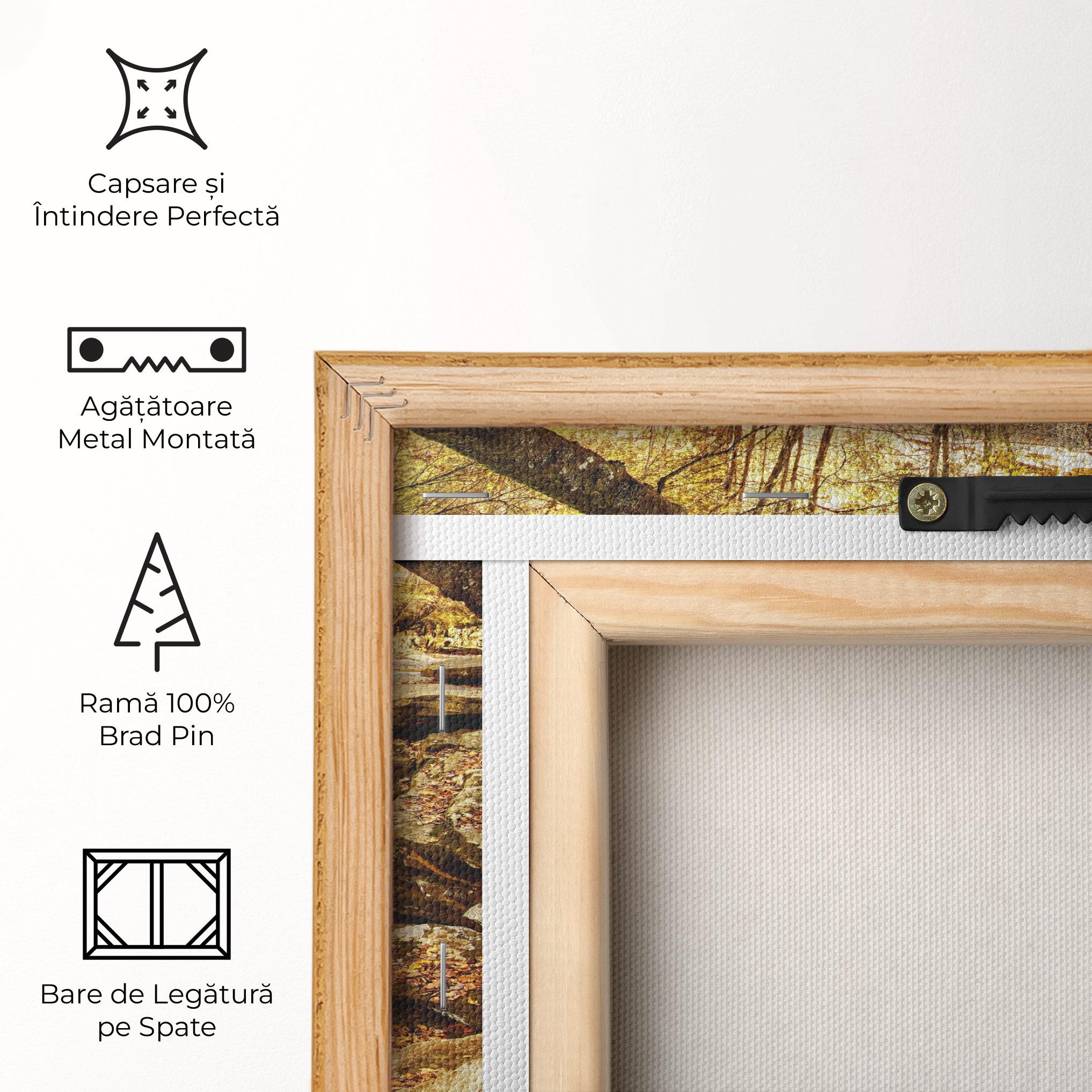 Tablou Canvas Pretty Autumn Waterfall mockup 5