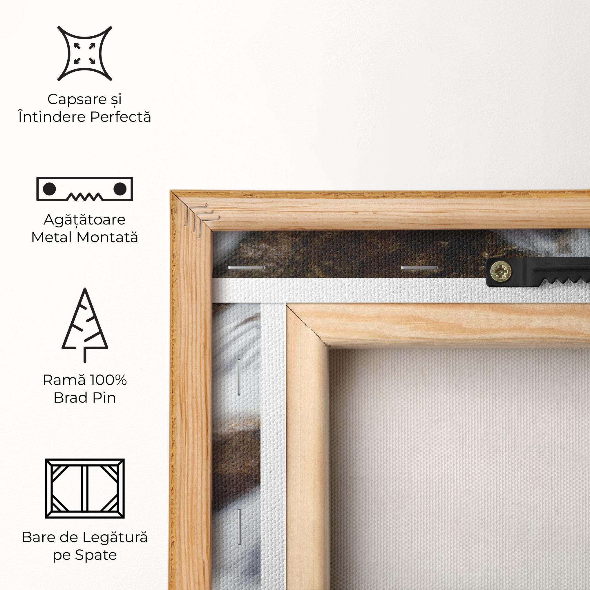 Tablou Canvas Shiny Rocks Waterfall mockup 5