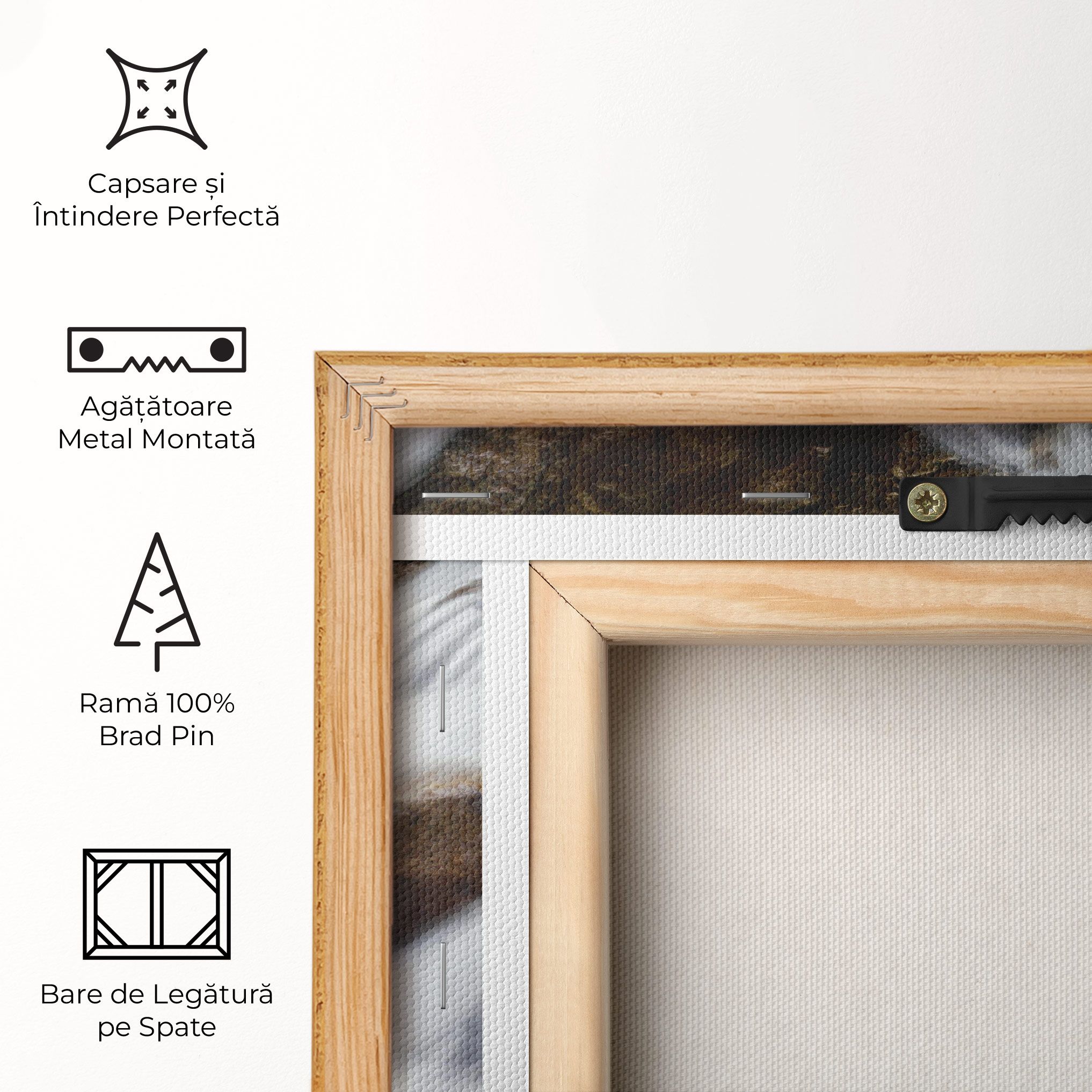 Shiny Rocks Waterfall mockup 5