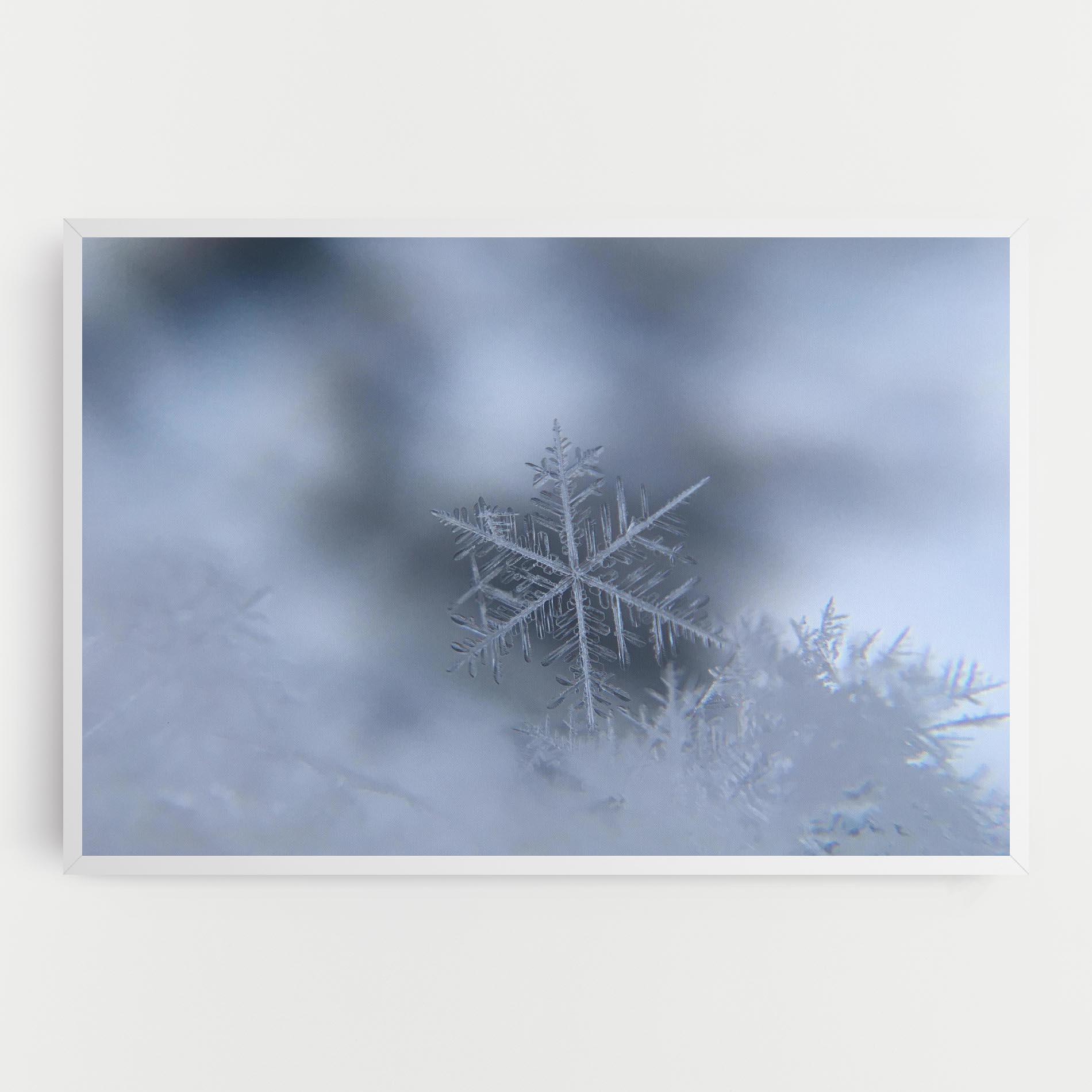 Tablou Canvas Pretty Snowflake mockup 0
