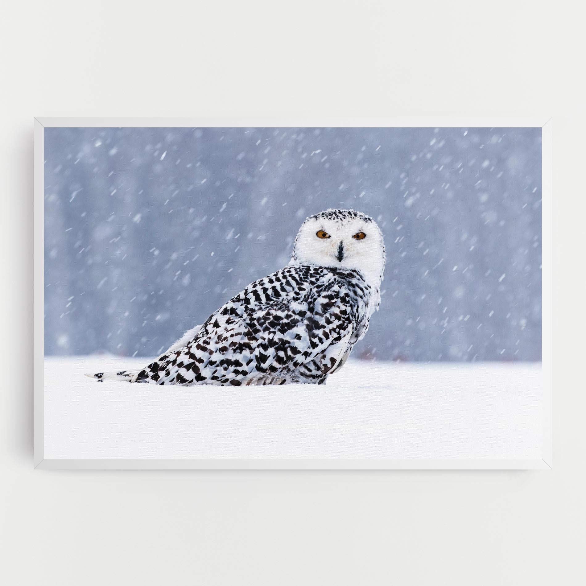 Tablou Canvas Snow Owl mockup 0