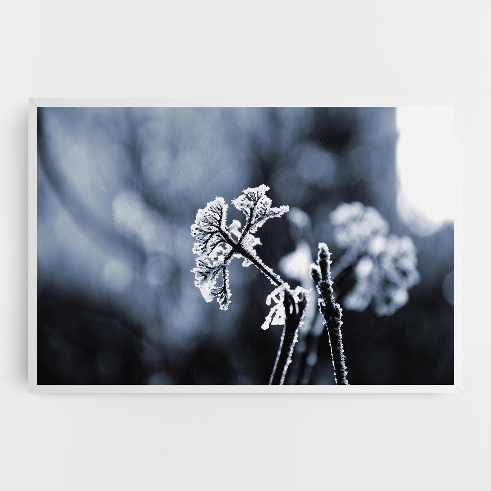 Tablou Canvas Winter Plant mockup 0
