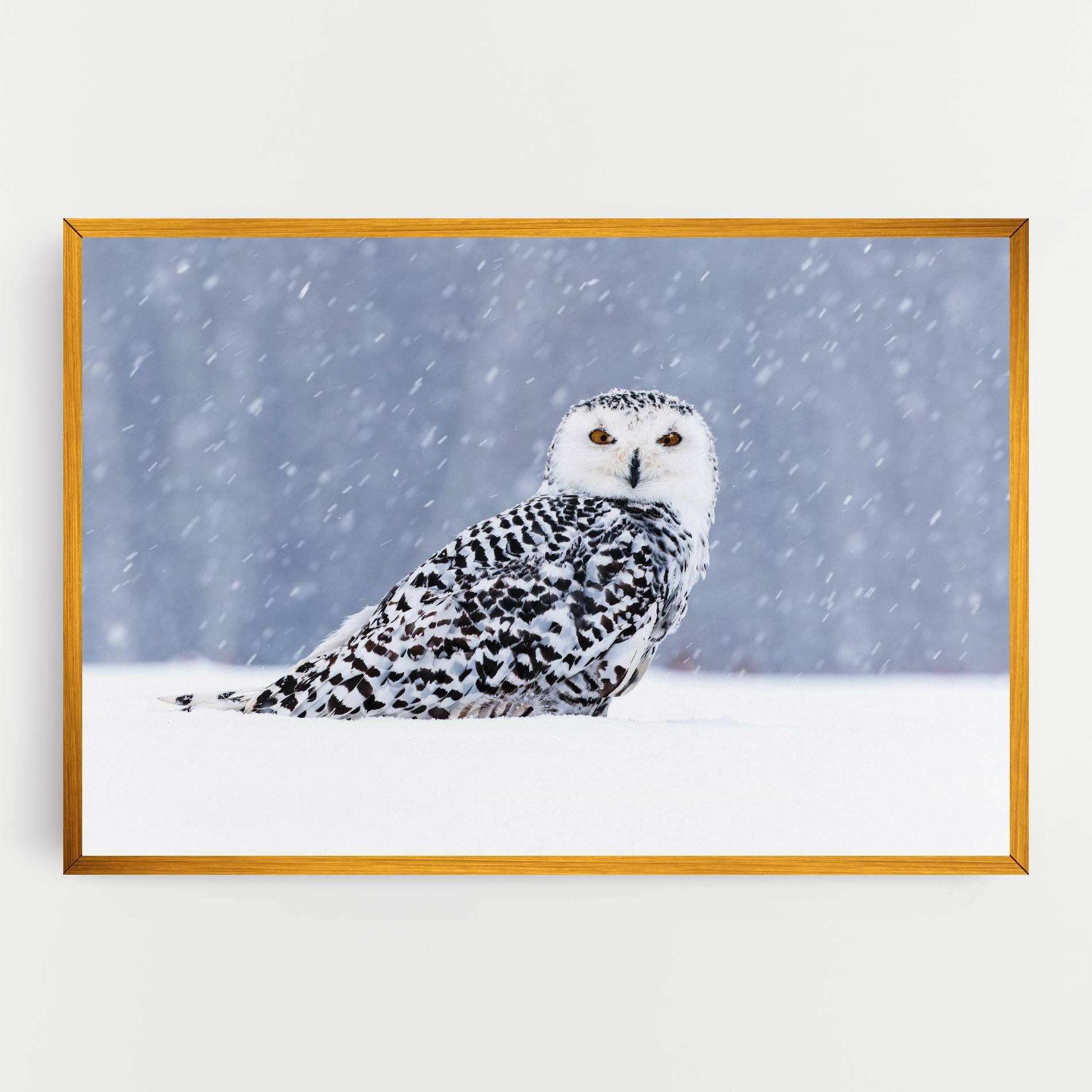 Tablou Canvas Snow Owl mockup 0