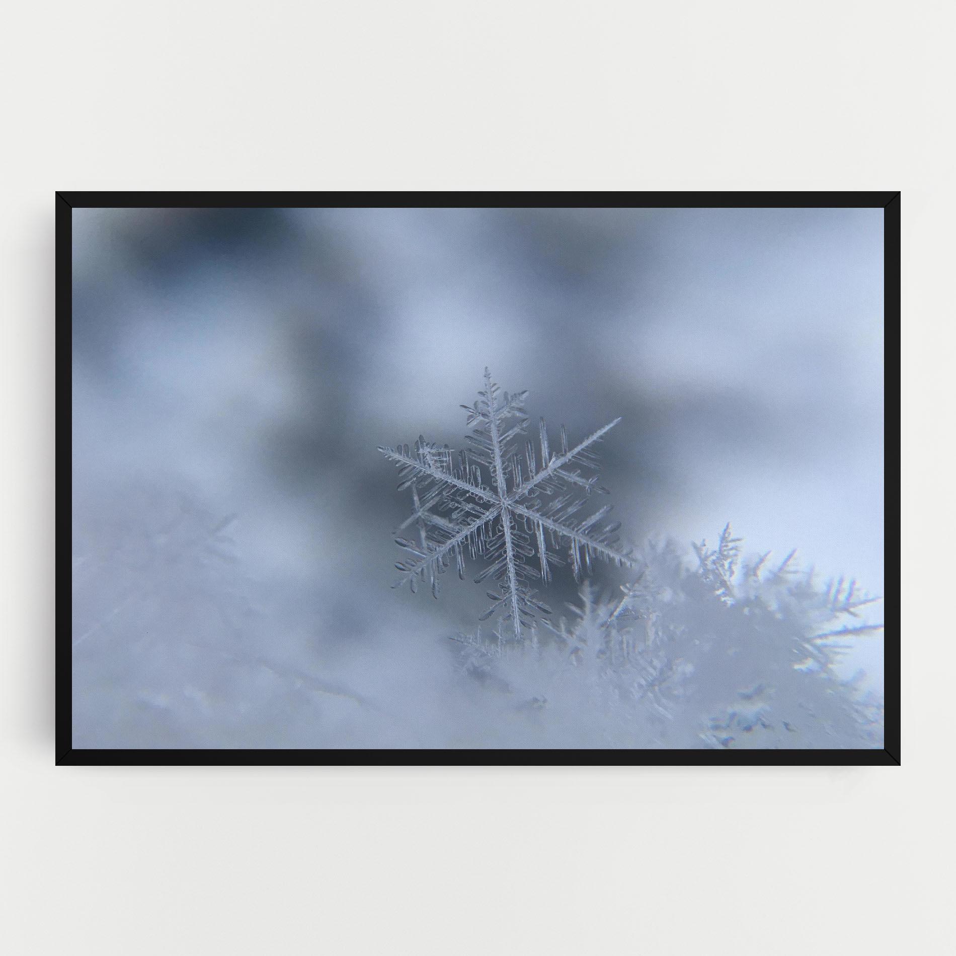Tablou Canvas Pretty Snowflake mockup 0