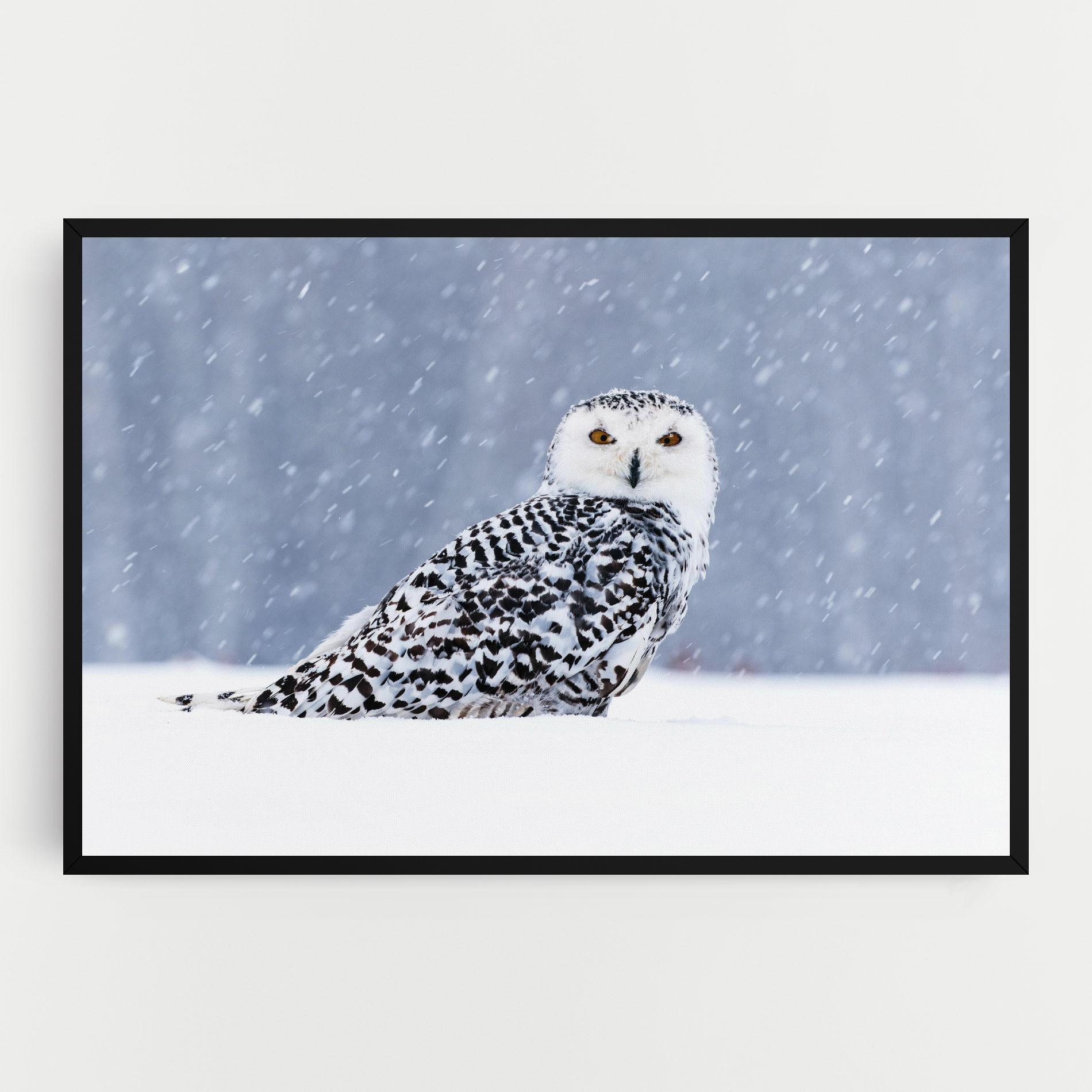 Tablou Canvas Snow Owl mockup 0
