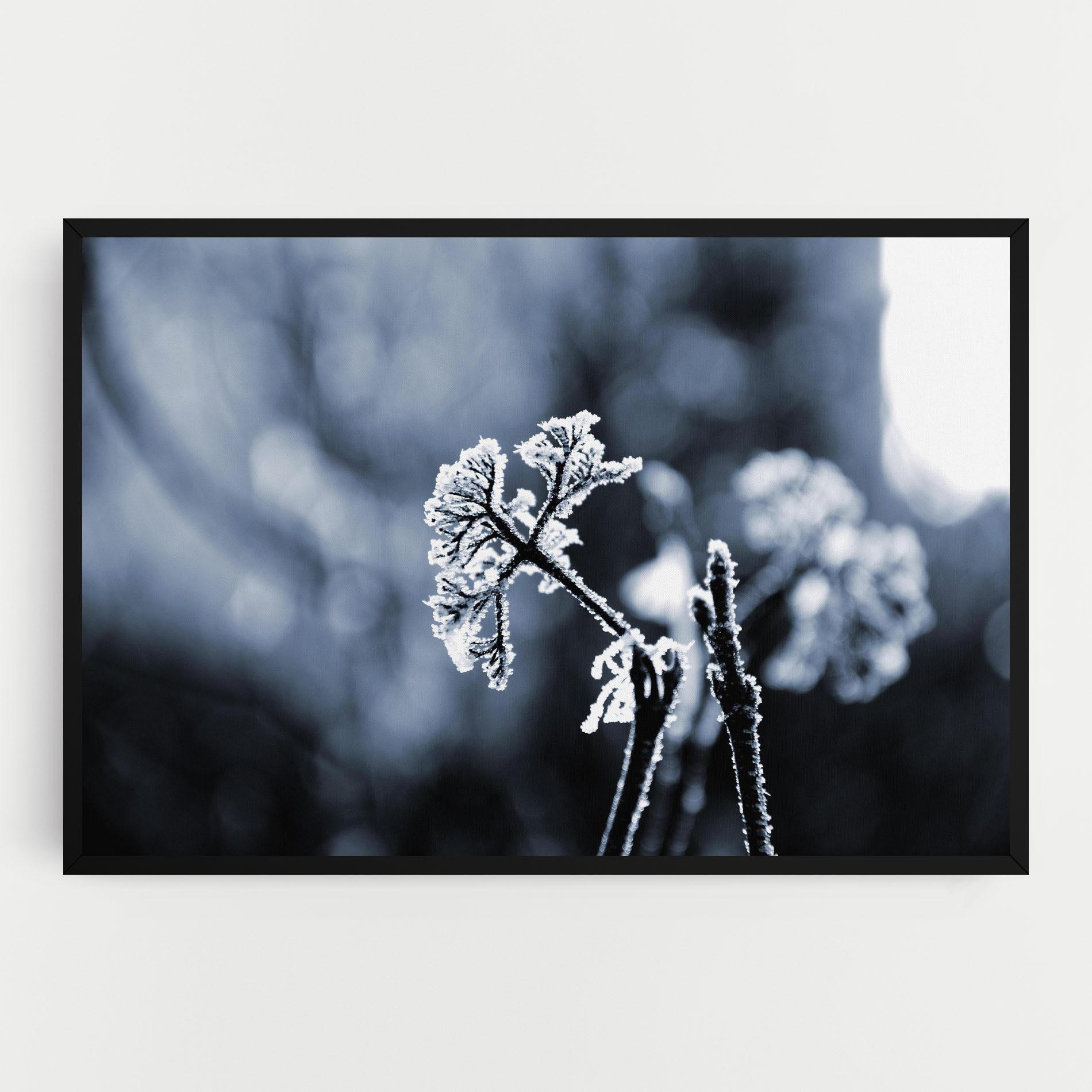 Tablou Canvas Winter Plant mockup 0