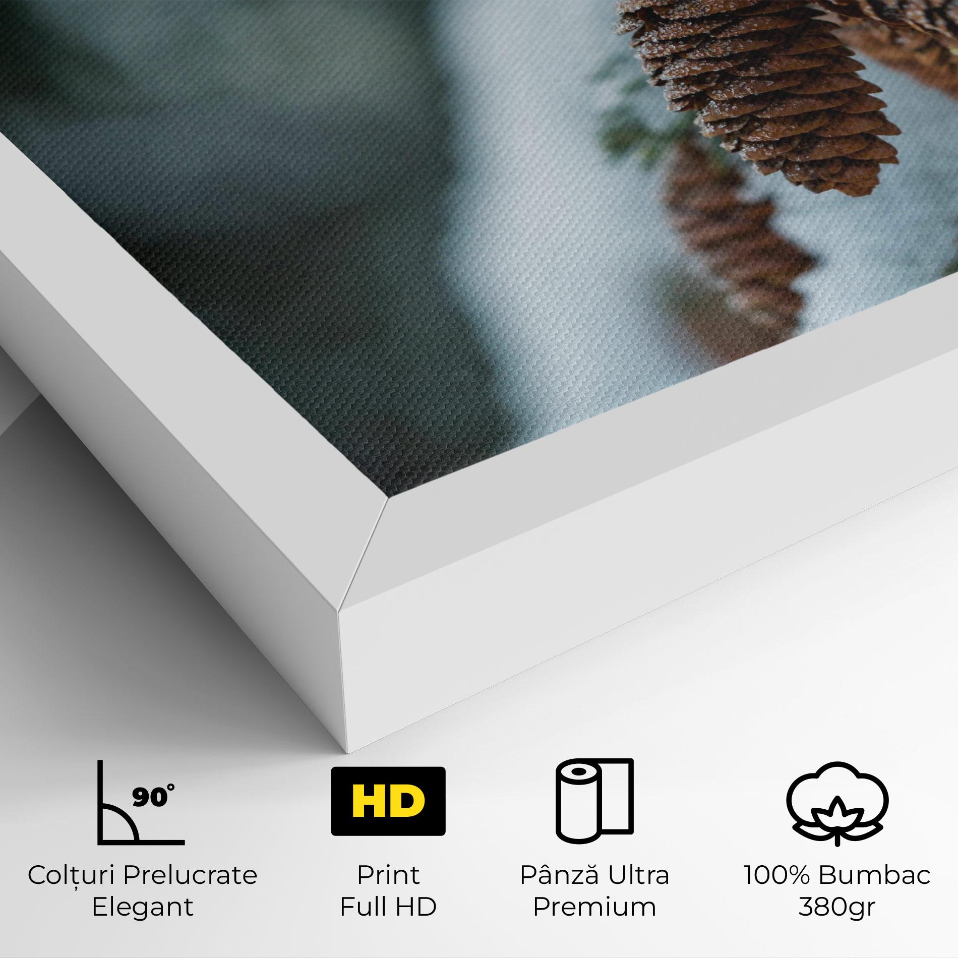 Tablou Canvas Pretty Snow Cones mockup 4