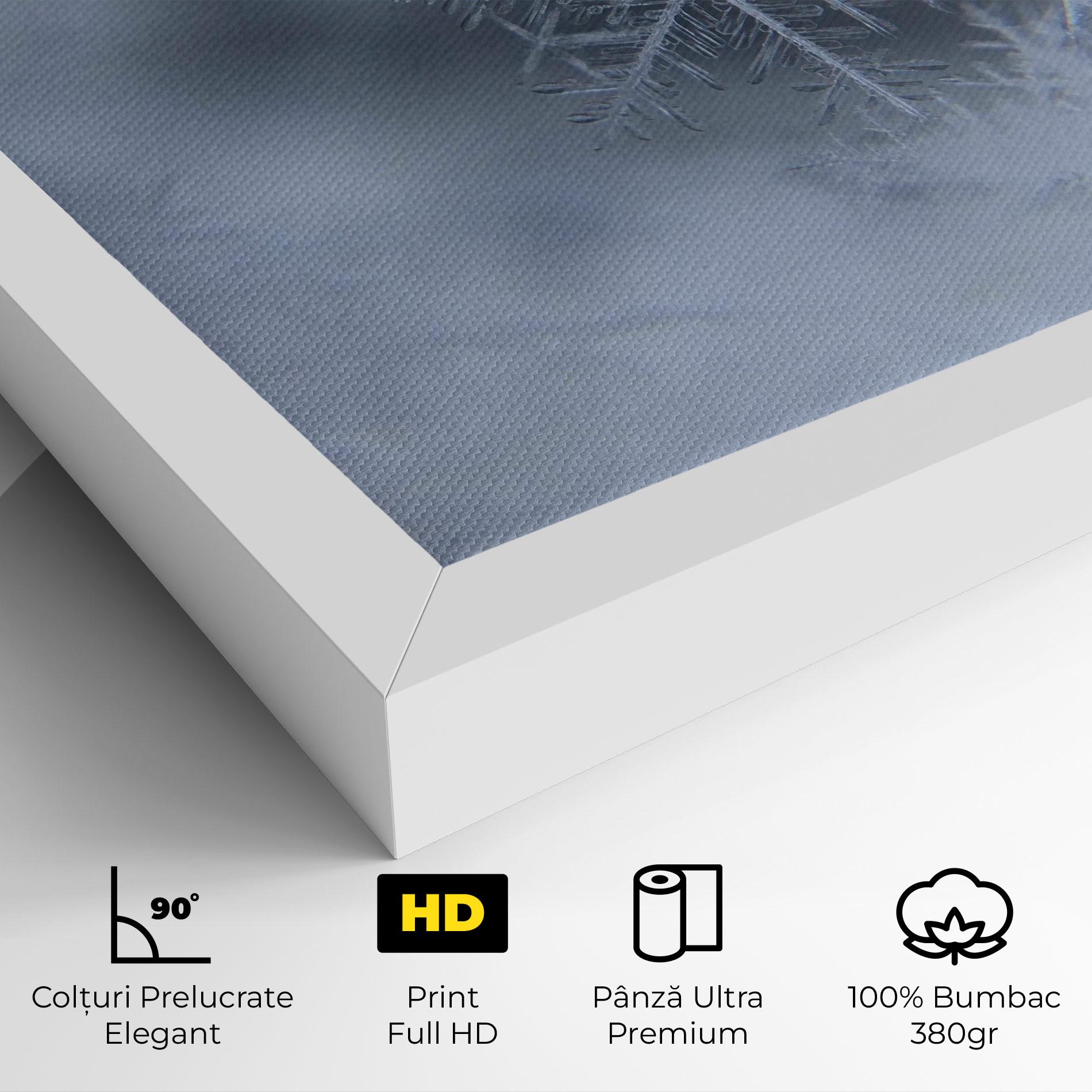 Tablou Canvas Pretty Snowflake mockup 4