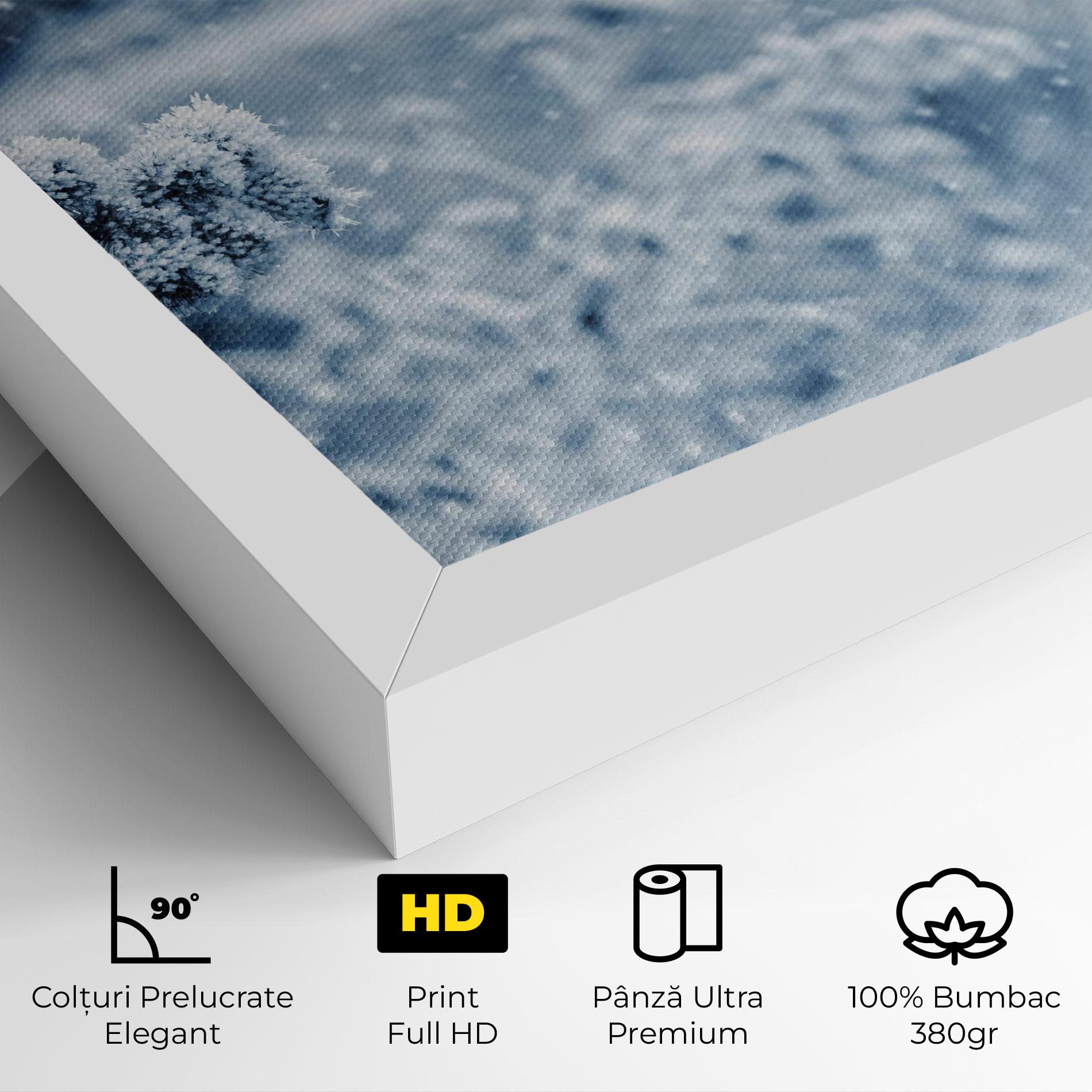 Tablou Canvas Pretty Winter Plants mockup 4