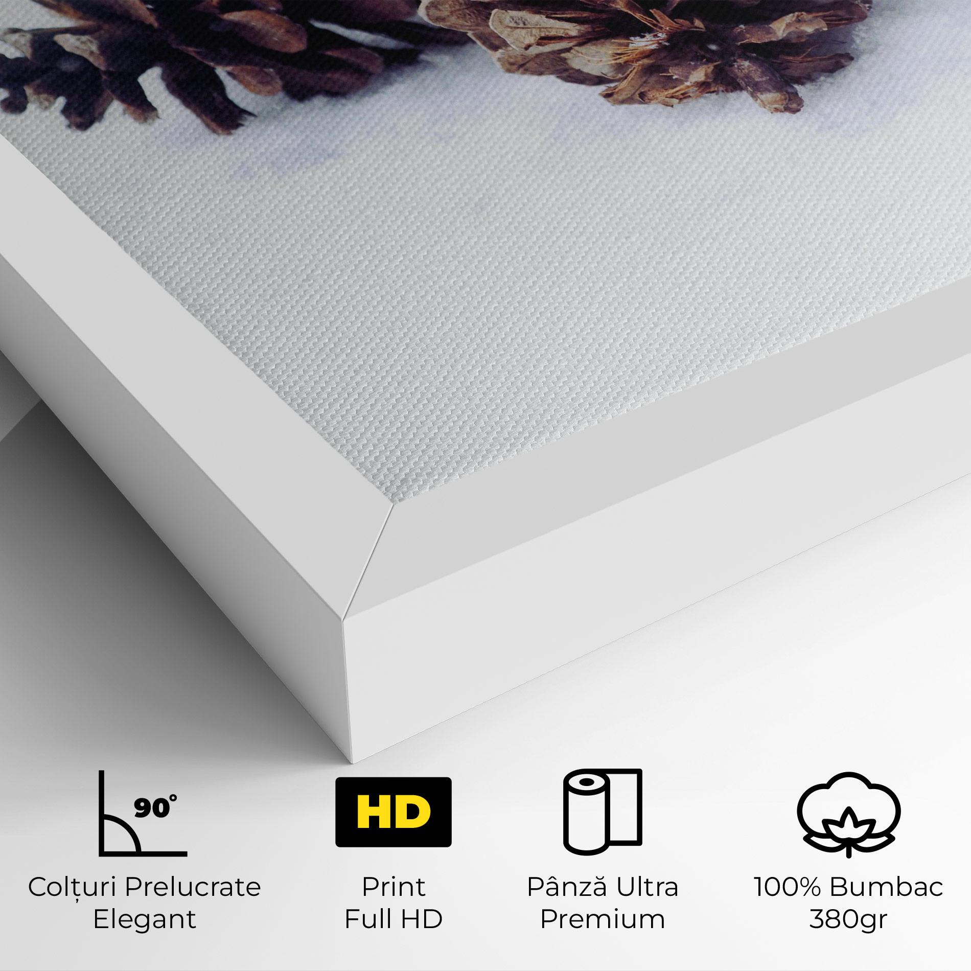 Tablou Canvas Snow Cones mockup 4