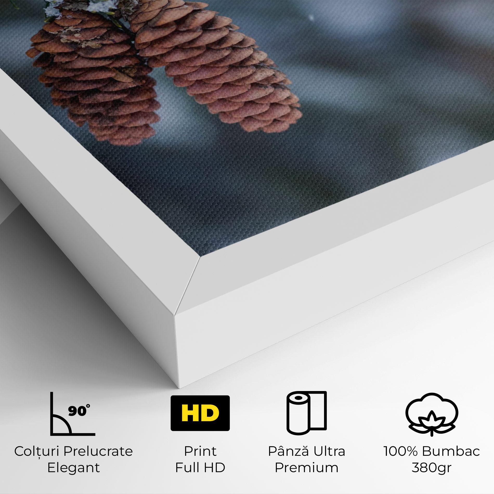 Tablou Canvas Winter Cones mockup 4