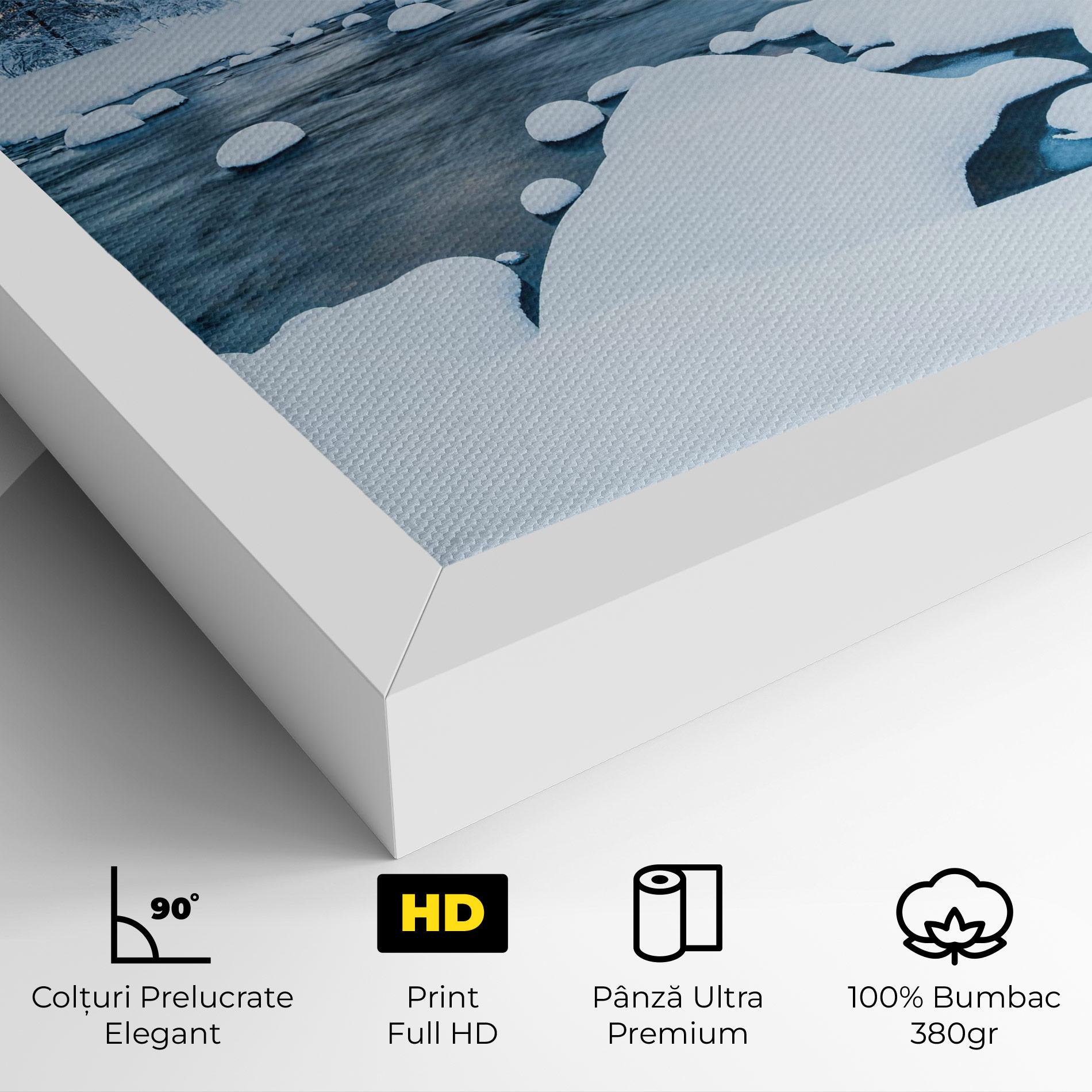 Tablou Canvas Winter River mockup 4