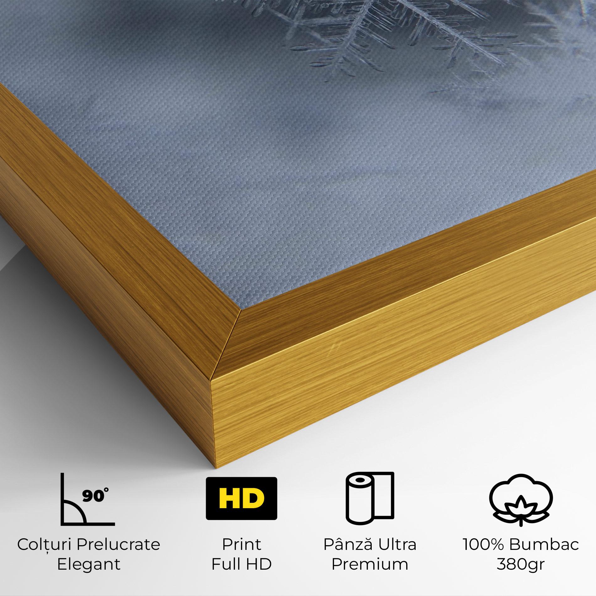 Tablou Canvas Pretty Snowflake mockup 4