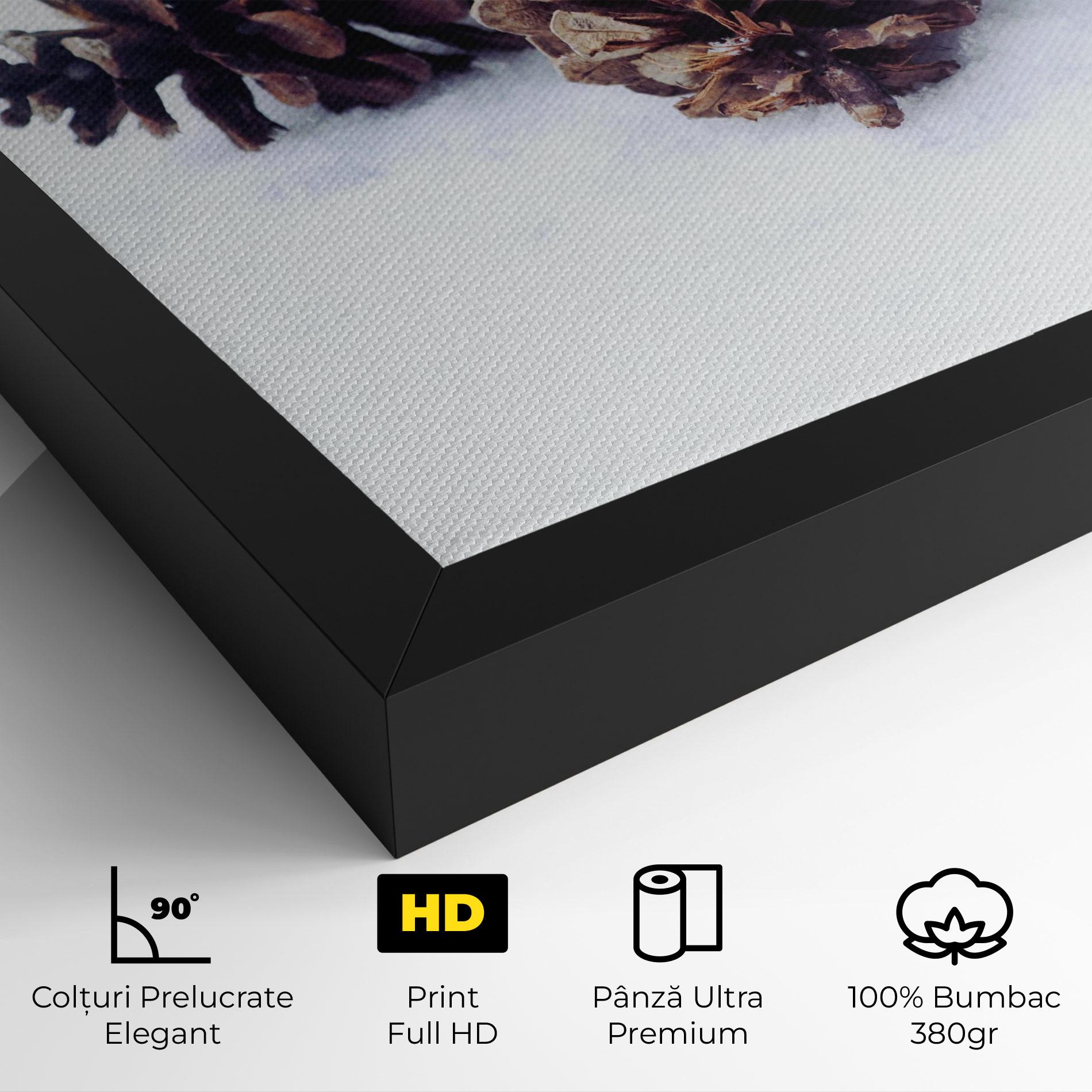 Tablou Canvas Snow Cones mockup 4