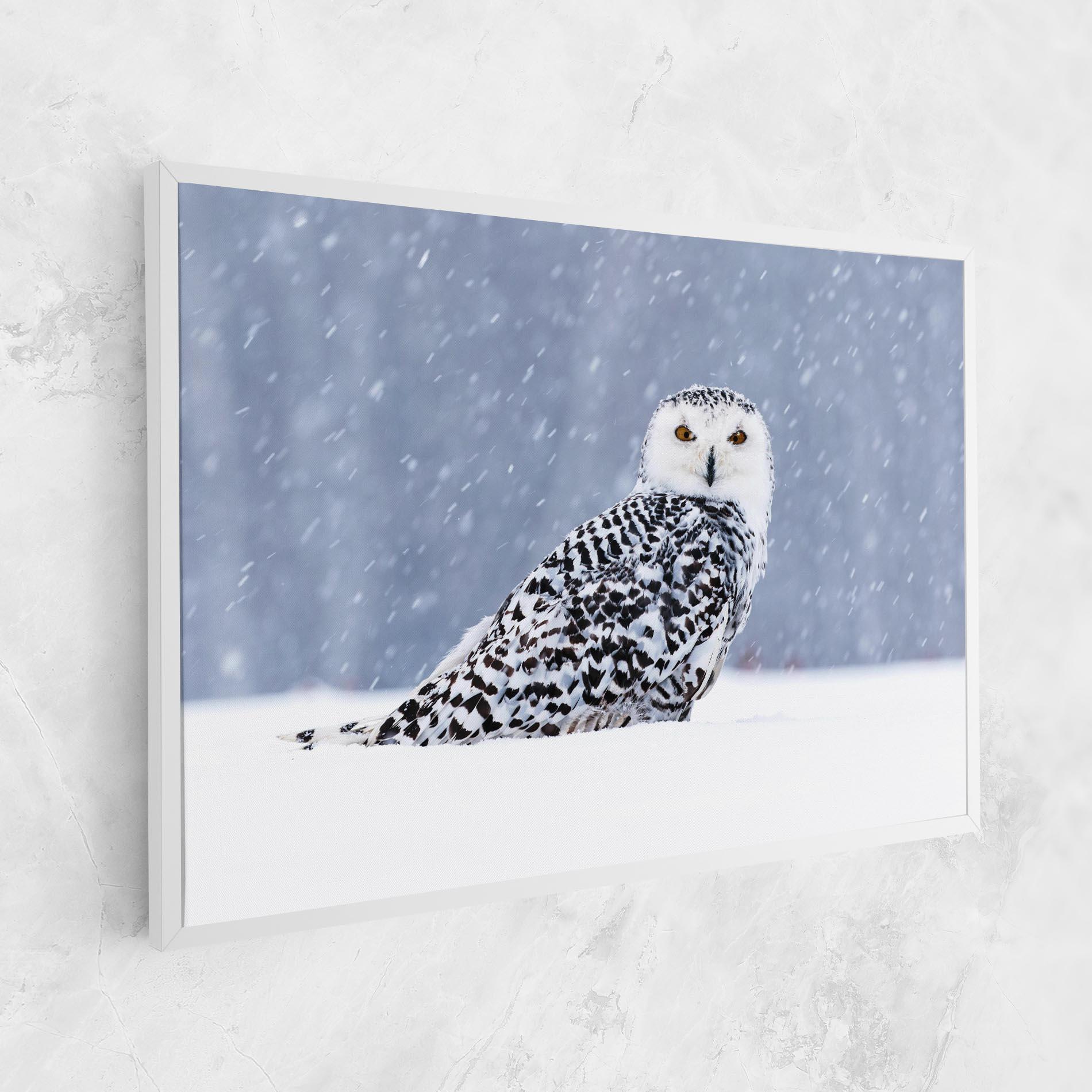 Tablou Canvas Snow Owl mockup 1