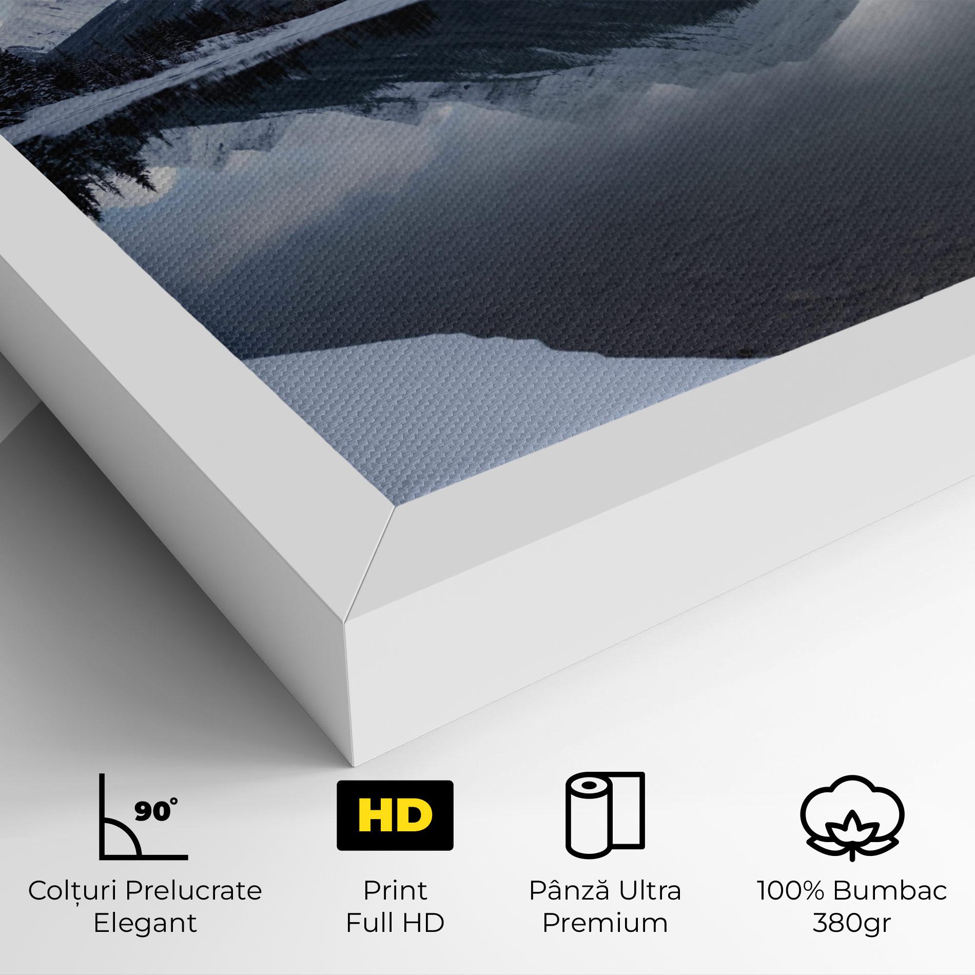 Tablou Canvas Grey Lake mockup 4