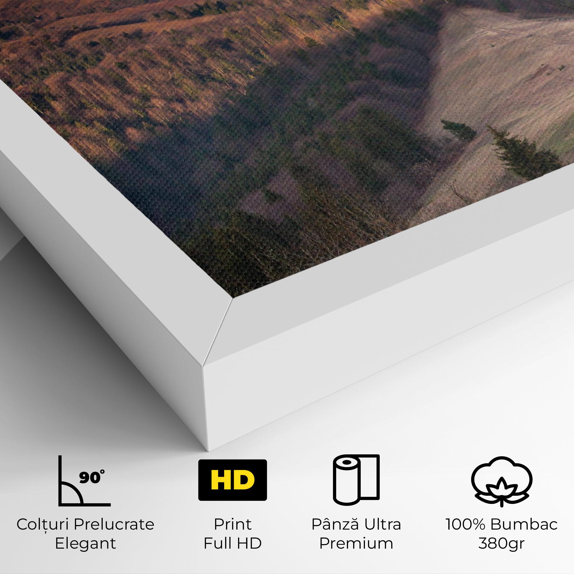 Tablou Canvas Top Of The Hill mockup 4