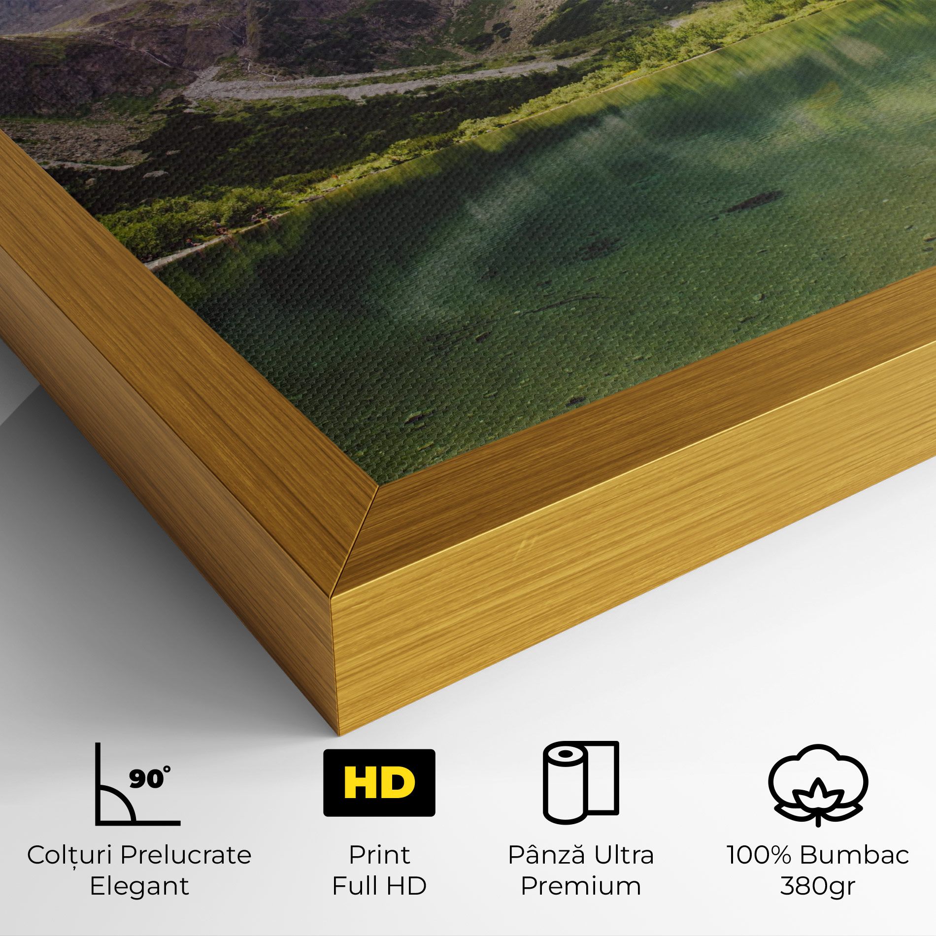 Green Mountain mockup 4