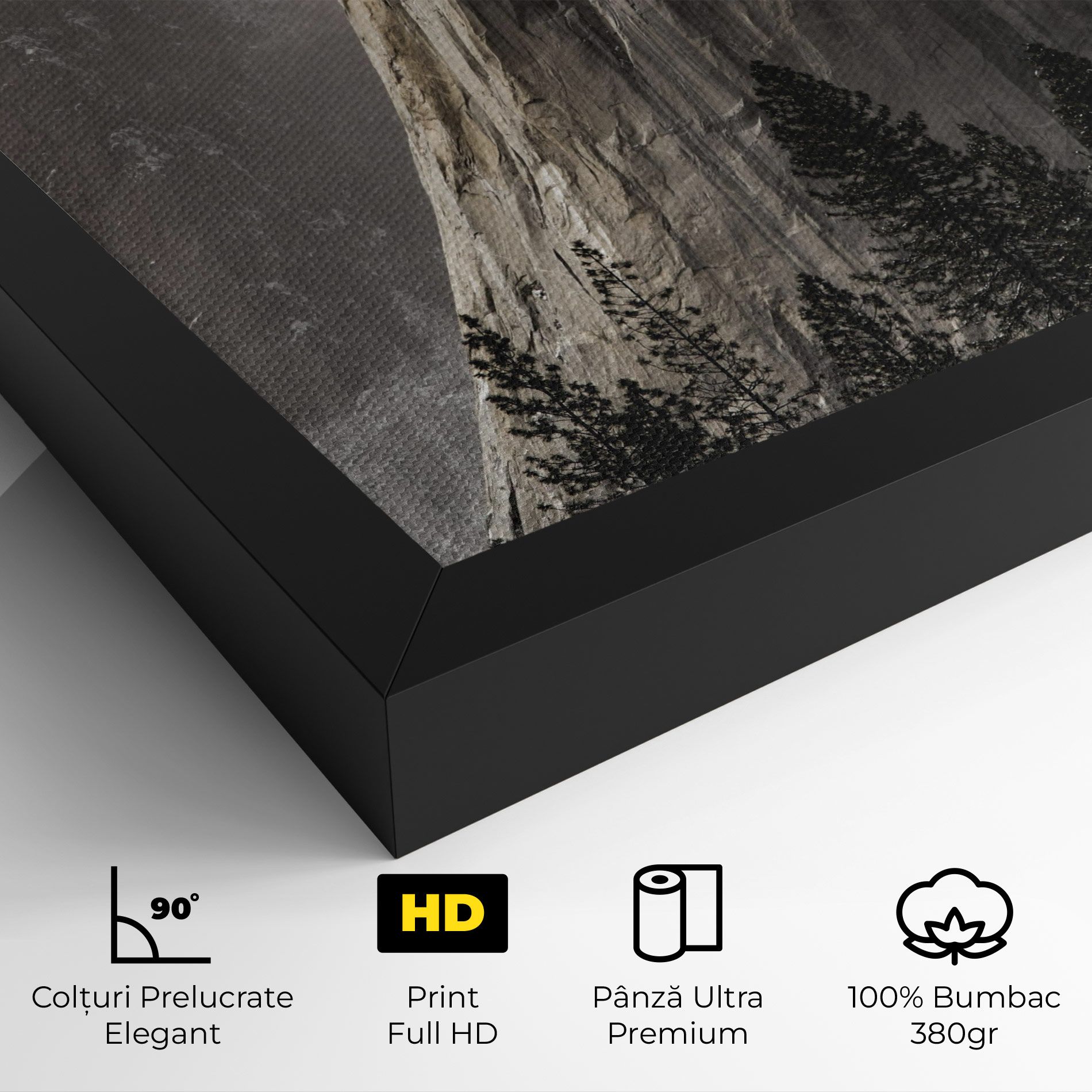 Green Tree Mountain mockup 4