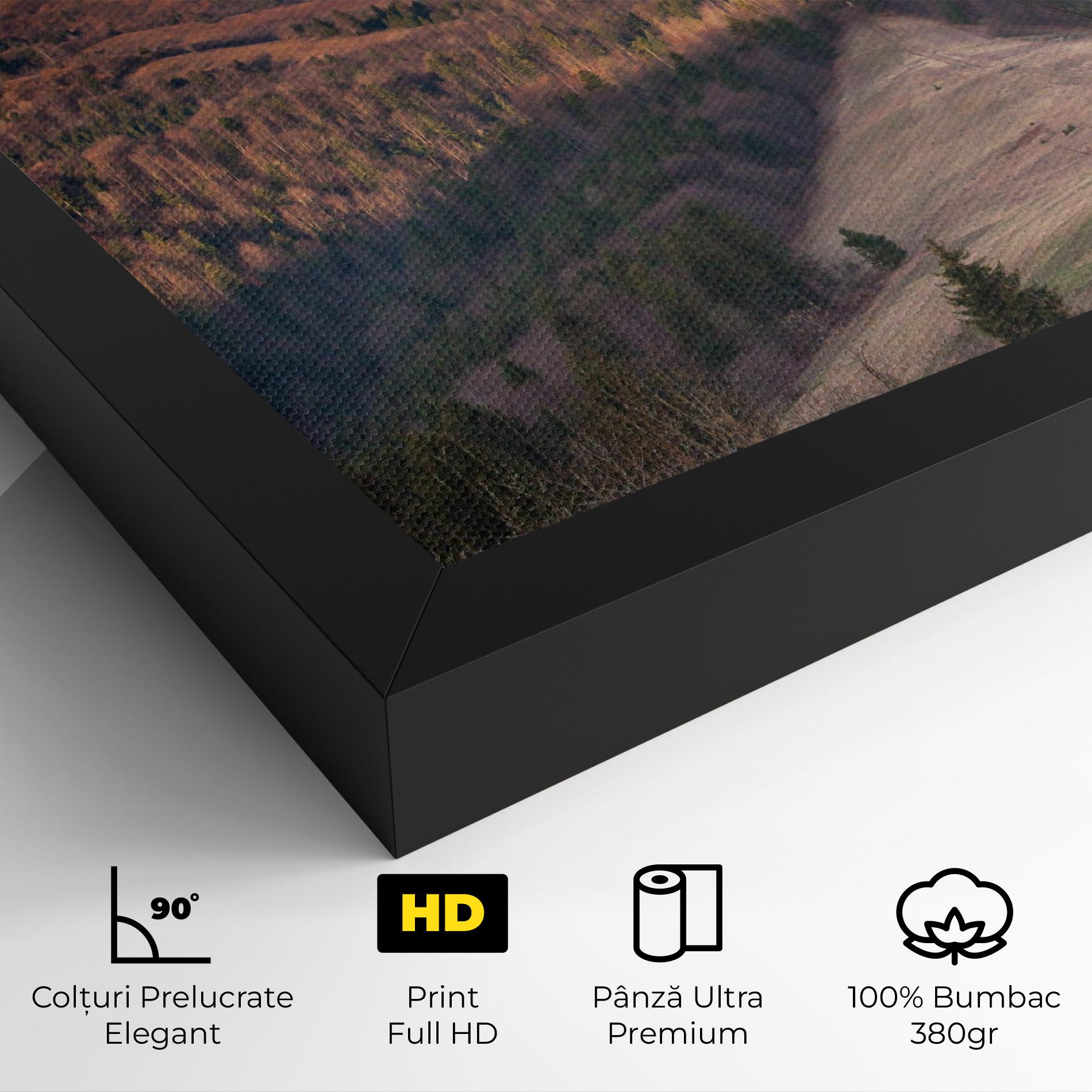 Tablou Canvas Top Of The Hill mockup 4