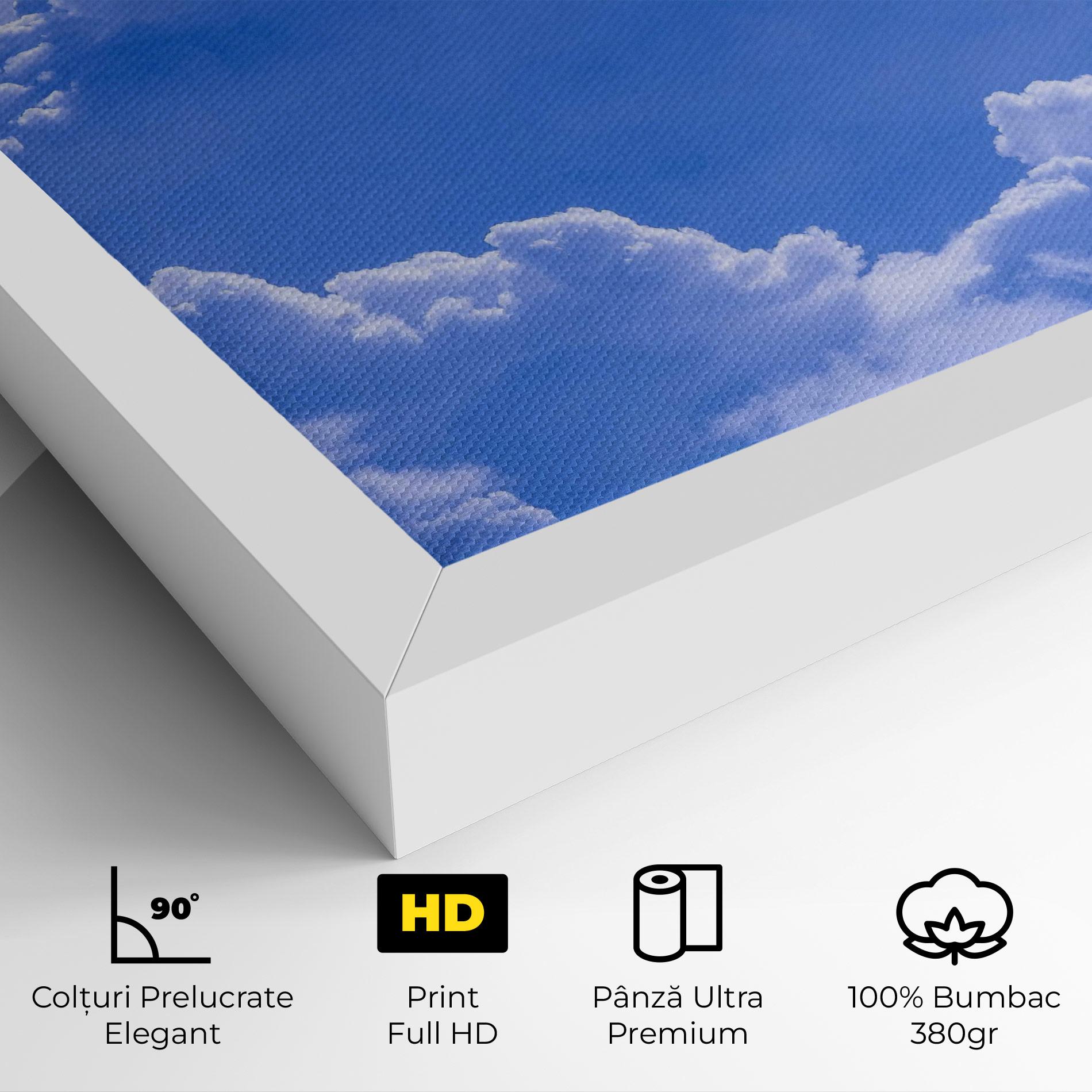 Tablou Canvas Big Blue Cloud mockup 4