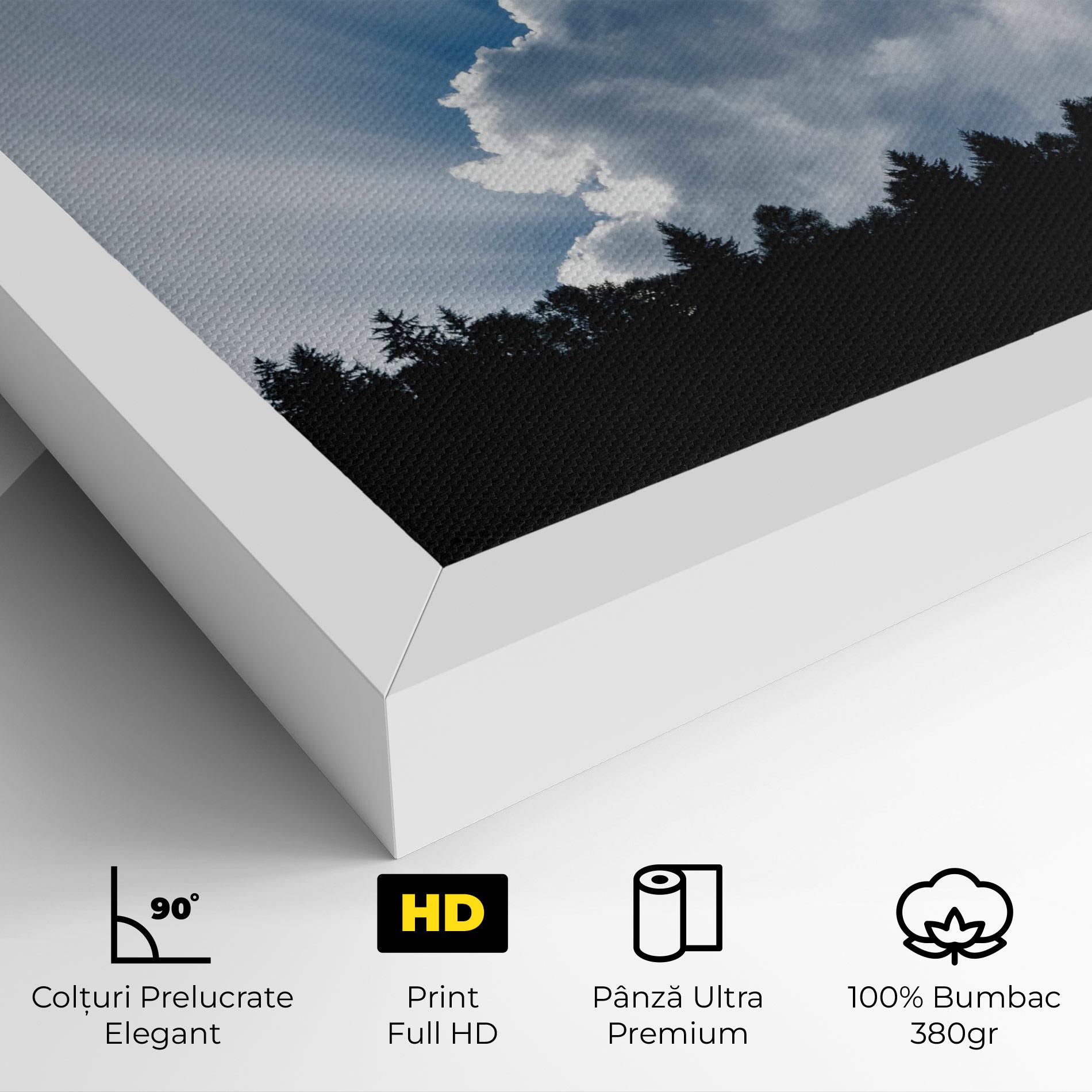 Tablou Canvas Big White Cloud Light mockup 4
