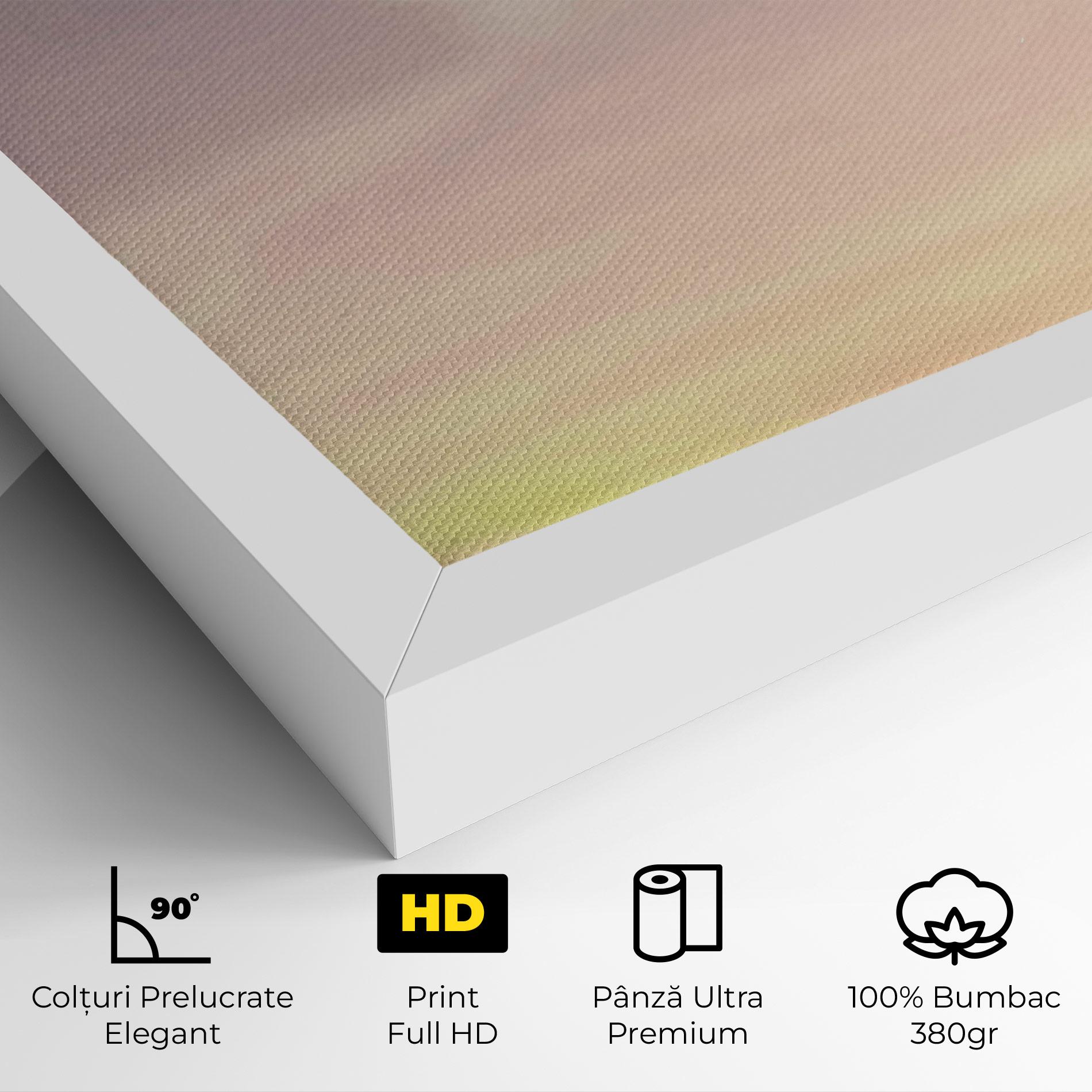 Tablou Canvas Clouds Watercolor Cream mockup 4