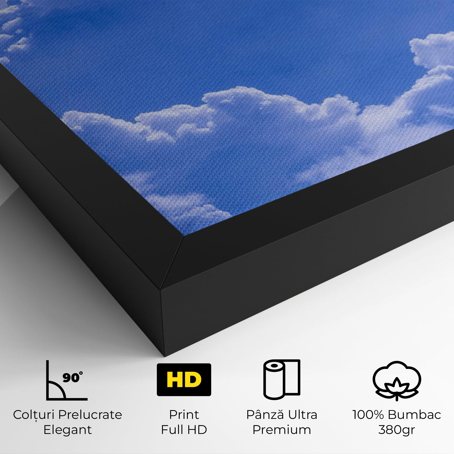 Tablou Canvas Big Blue Cloud mockup 4