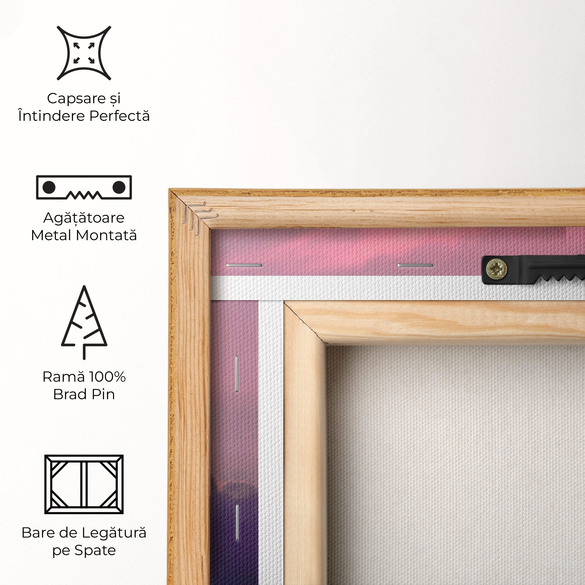 Big Purple Cloud mockup 5