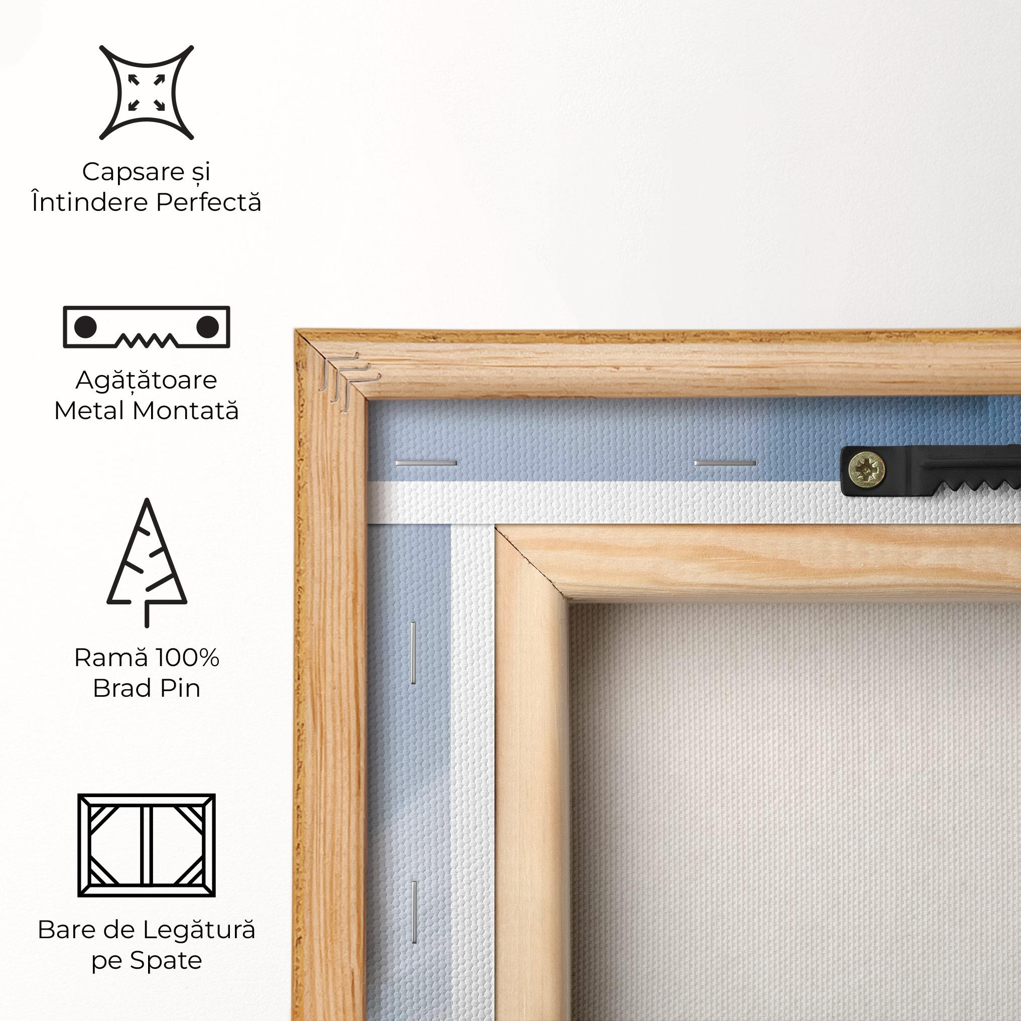 Tablou Canvas Big White Cloud Light mockup 5