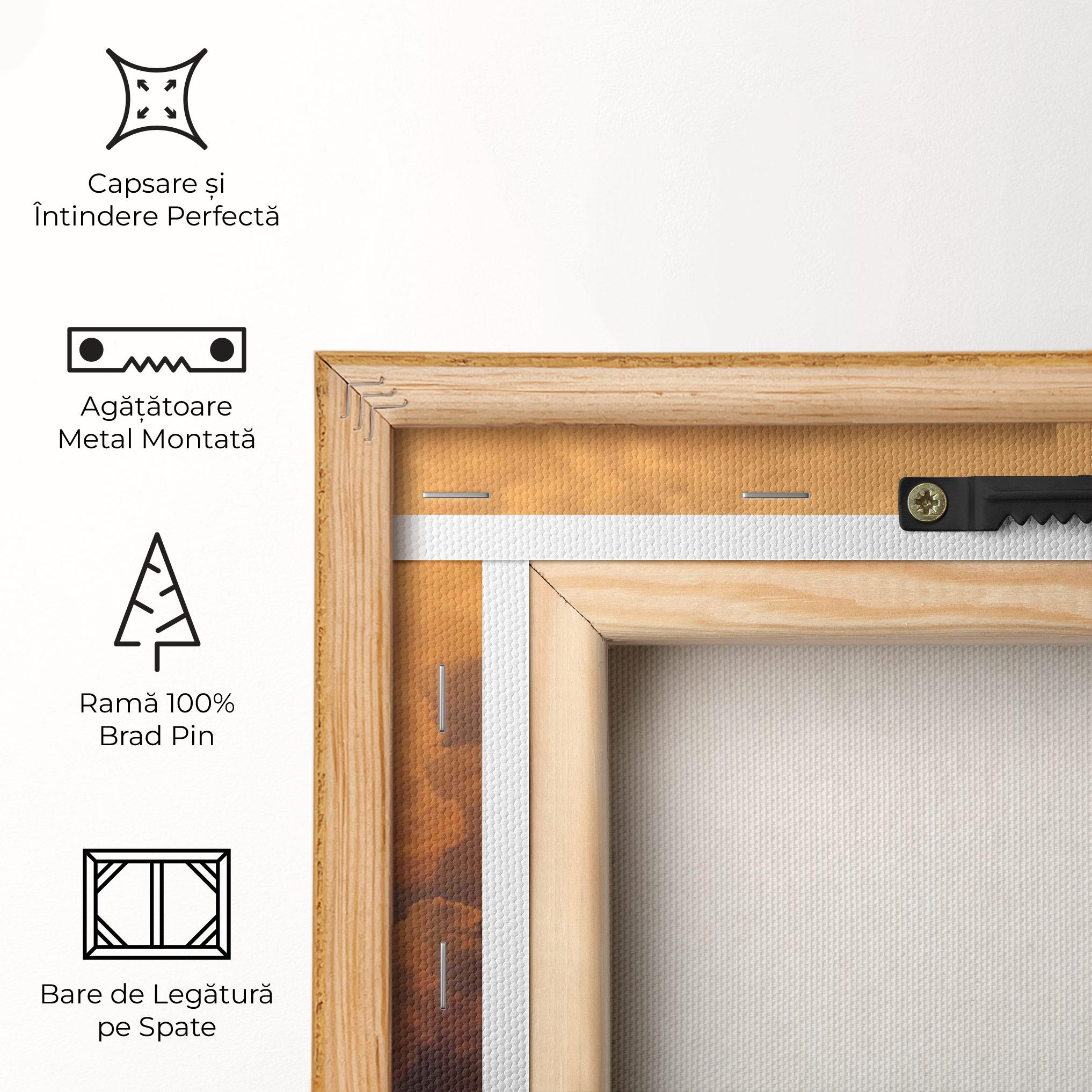 Tablou Canvas Brown Orange Clouds mockup 5