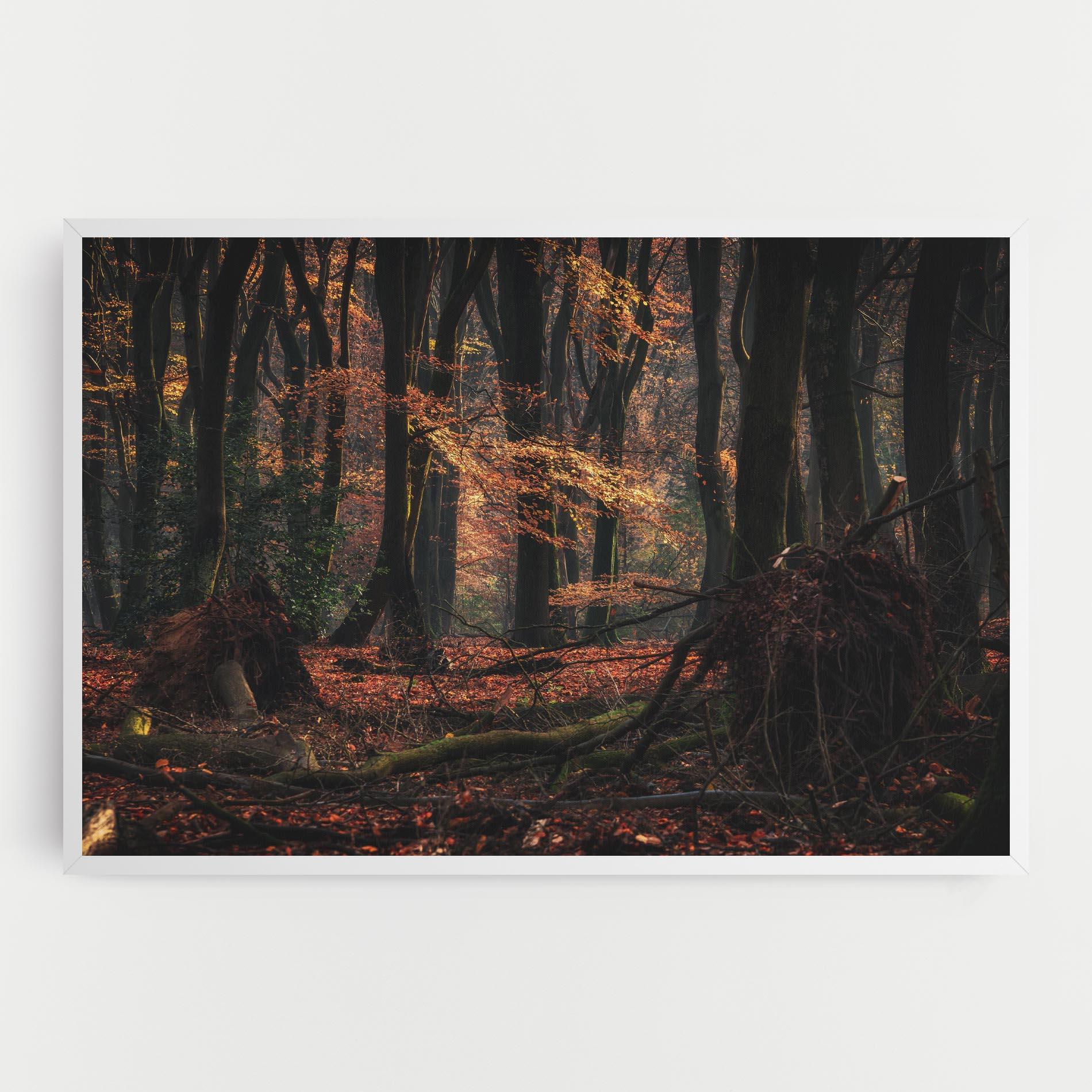 Tablou Canvas Autumn Forest Trees mockup 0