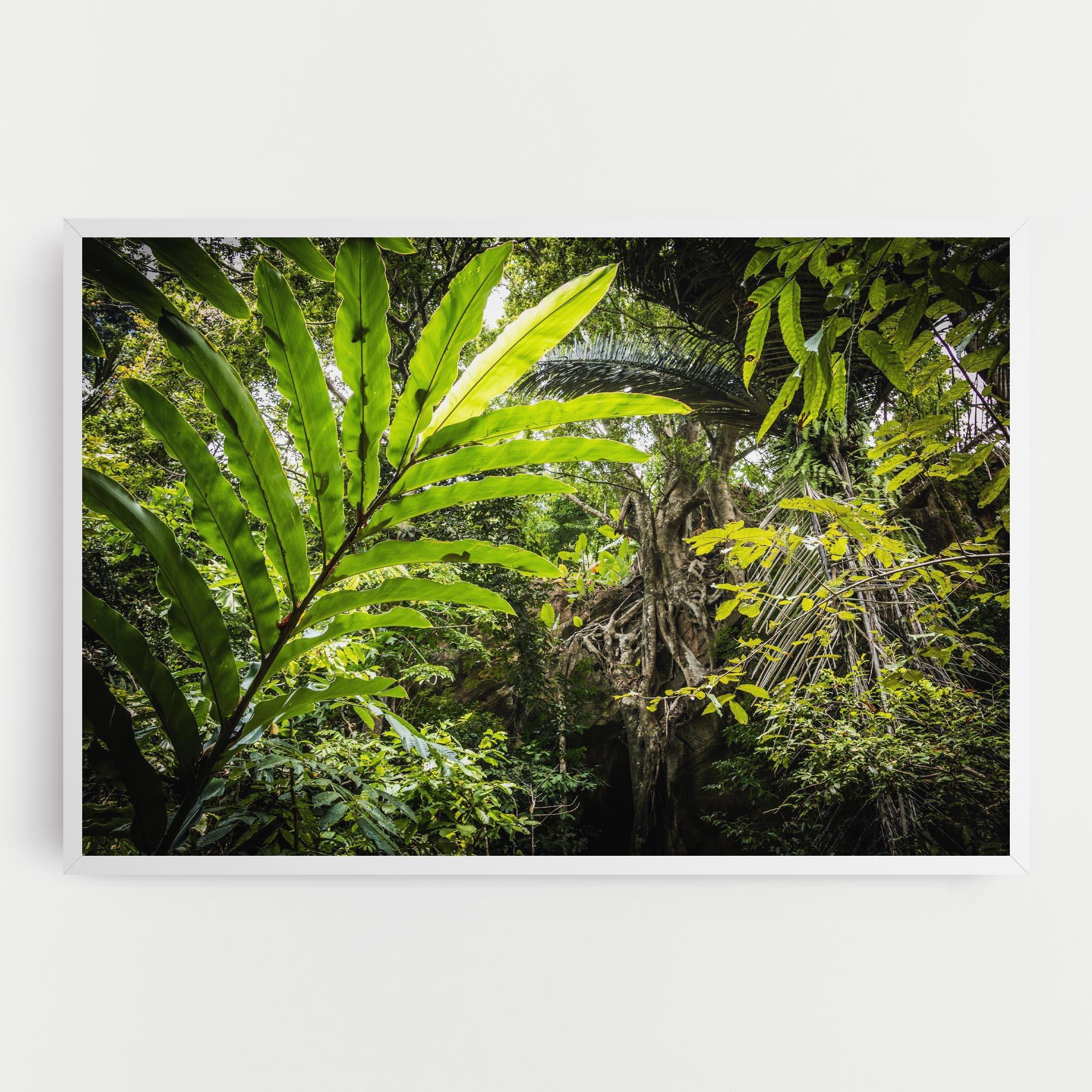 Tablou Canvas Big Leaf Forest mockup 0