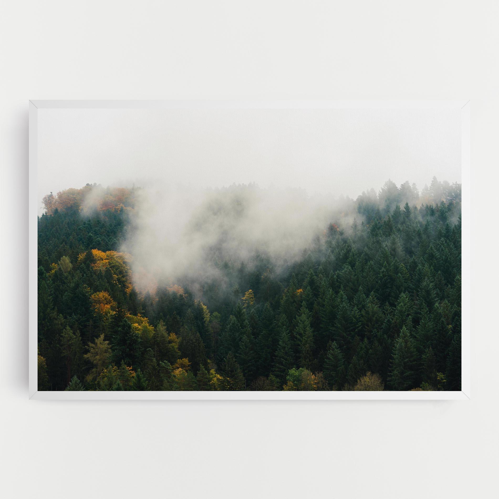 Tablou Canvas Foggy Tree Forest mockup 0