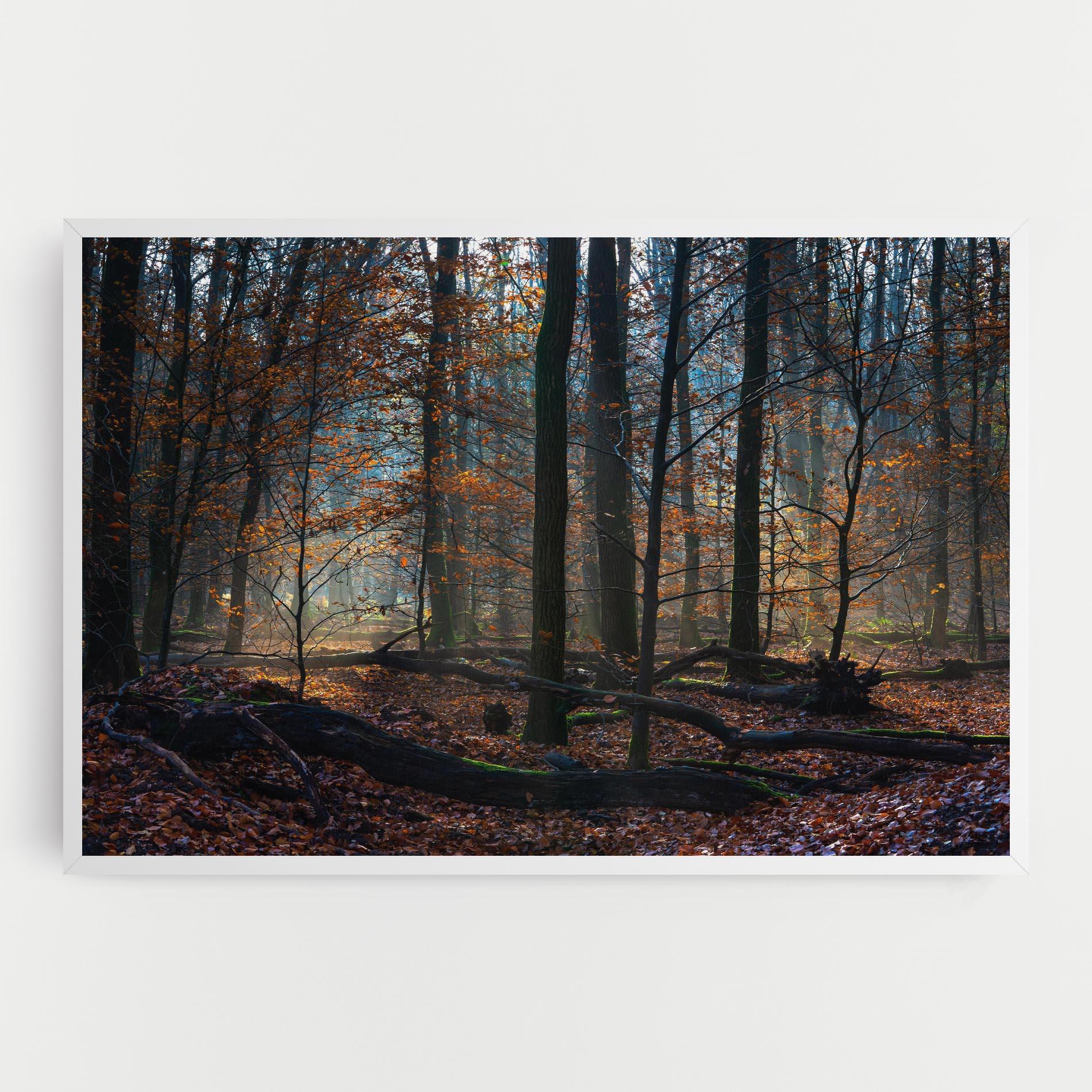 Tablou Canvas Forest Autumn Day mockup 0