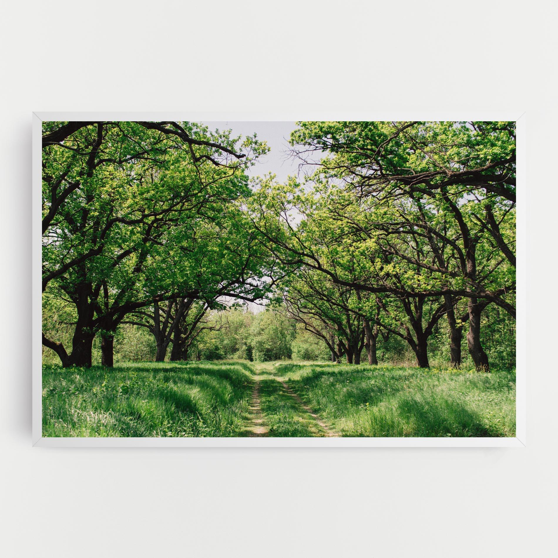 Tablou Canvas Forest Green Path mockup 0