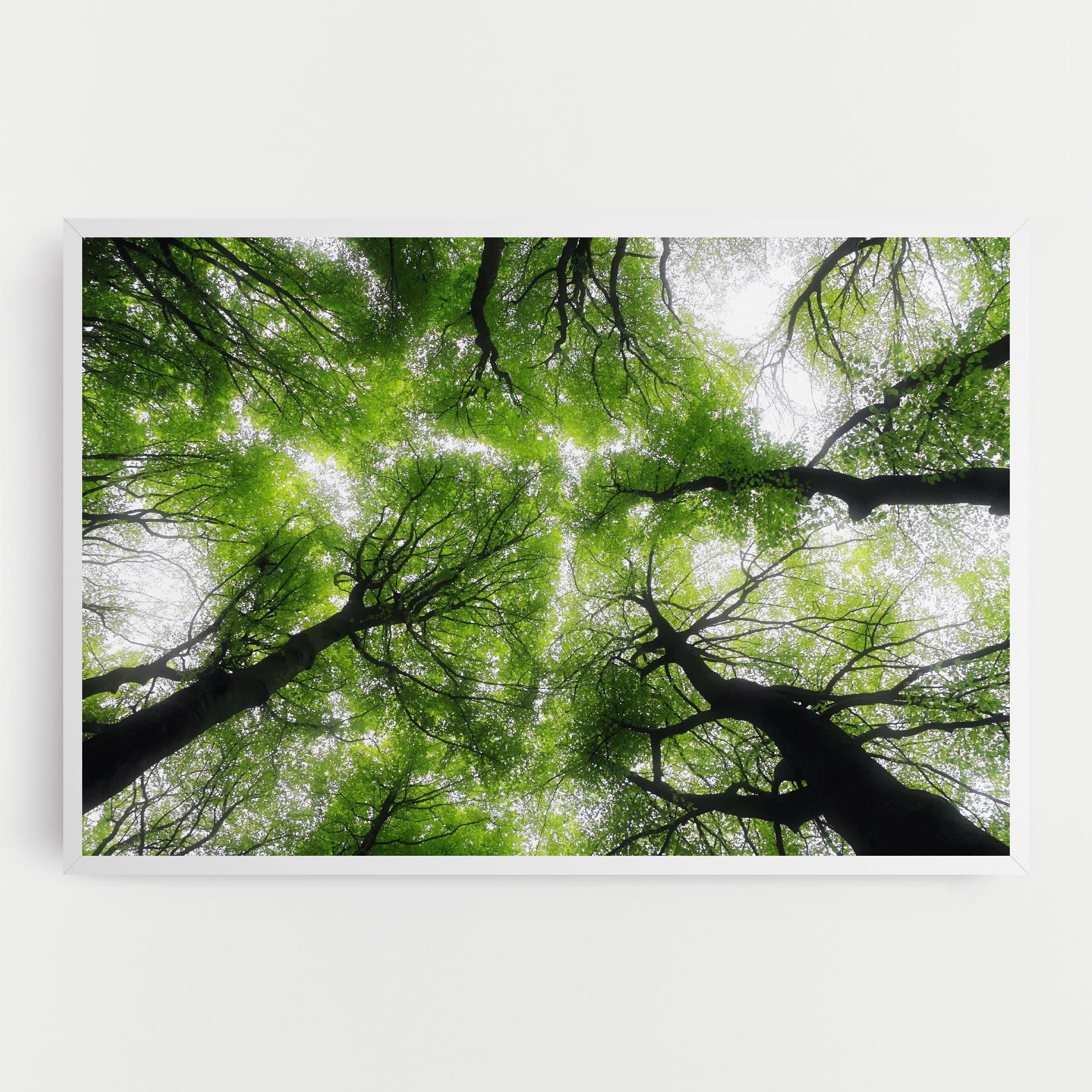 Forest Green Tree mockup 0