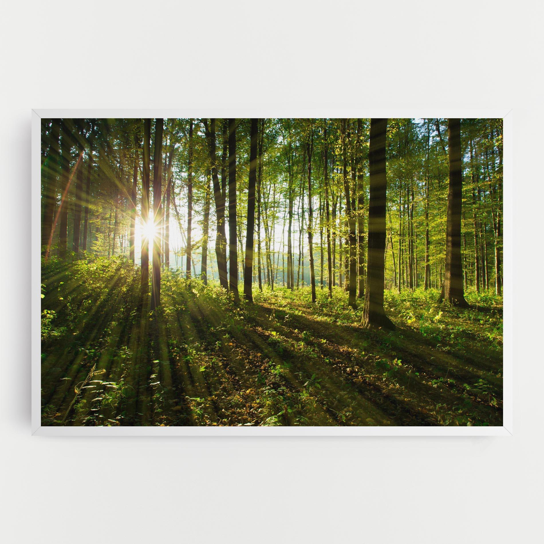 Tablou Canvas Green Light Forest mockup 0