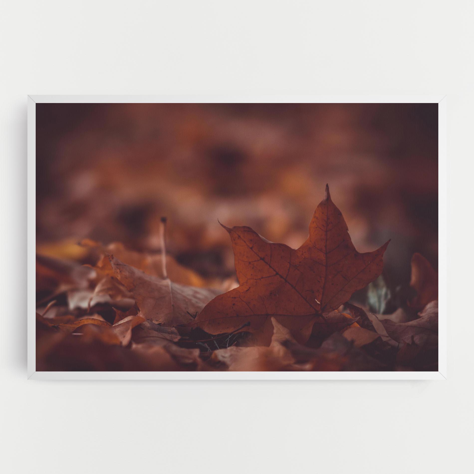 Tablou Canvas Kristian Seedorff Bl1jBUEIeo8 Unsplash mockup 0