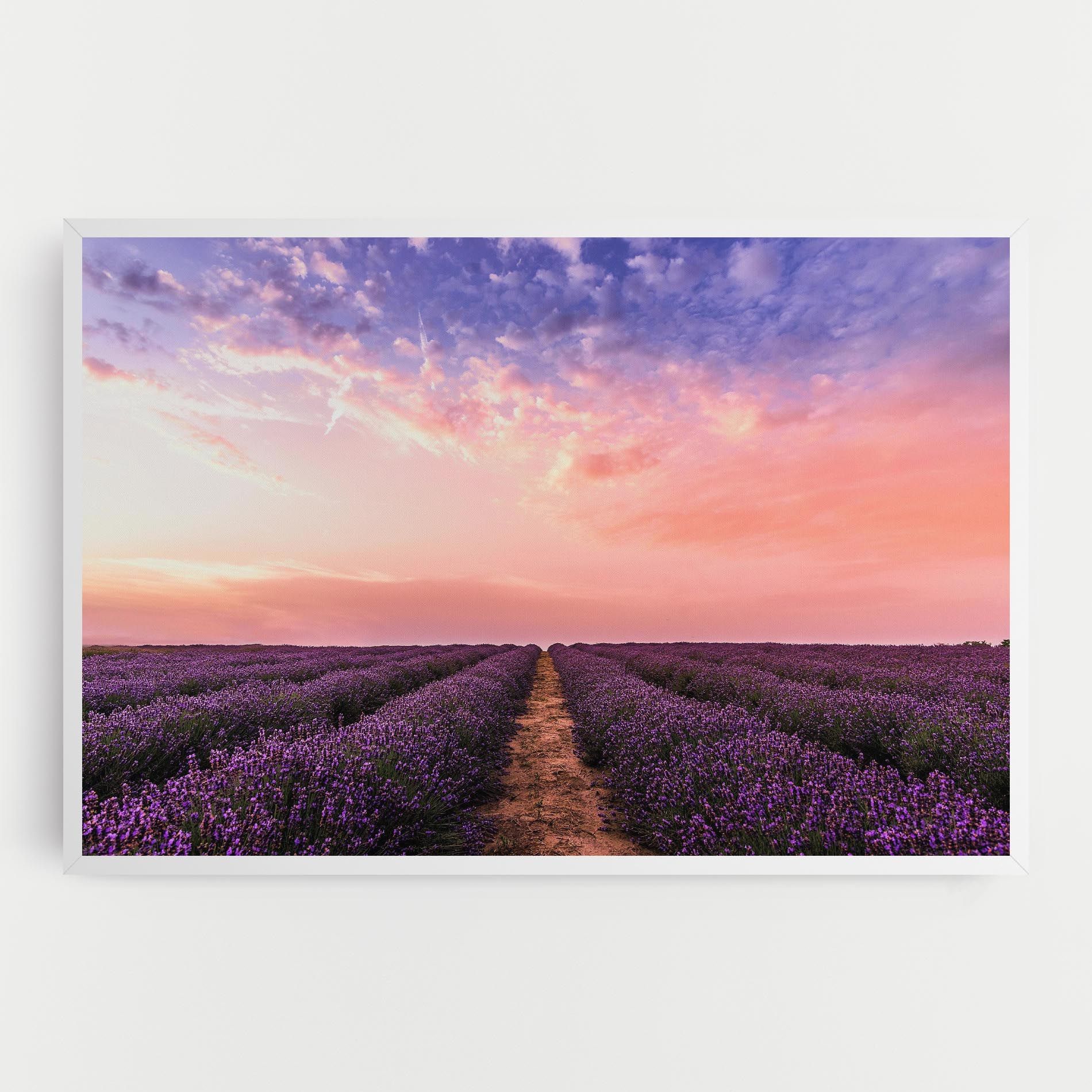 Lavender Field mockup 0