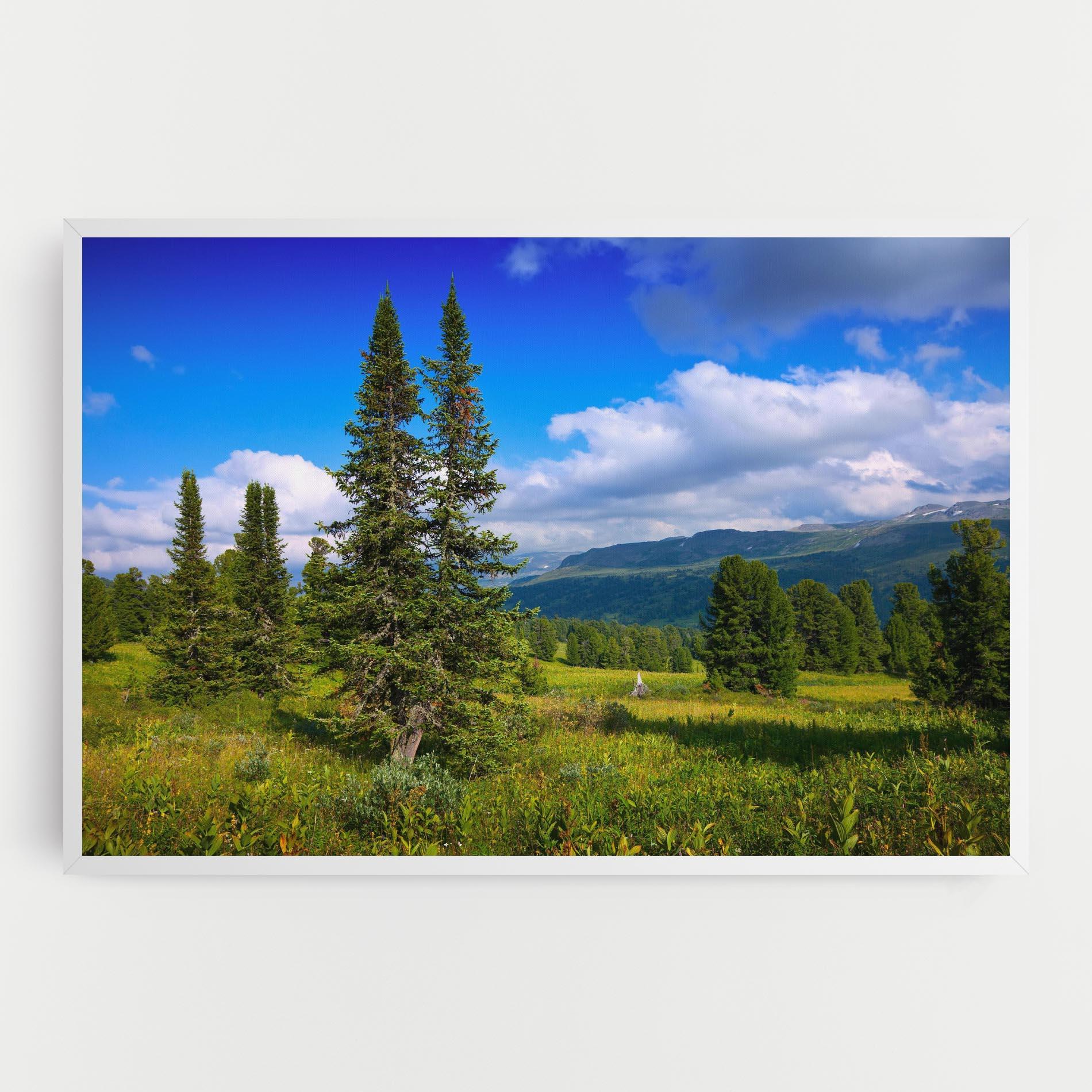 Tablou Canvas Morning Sunny Field mockup 0