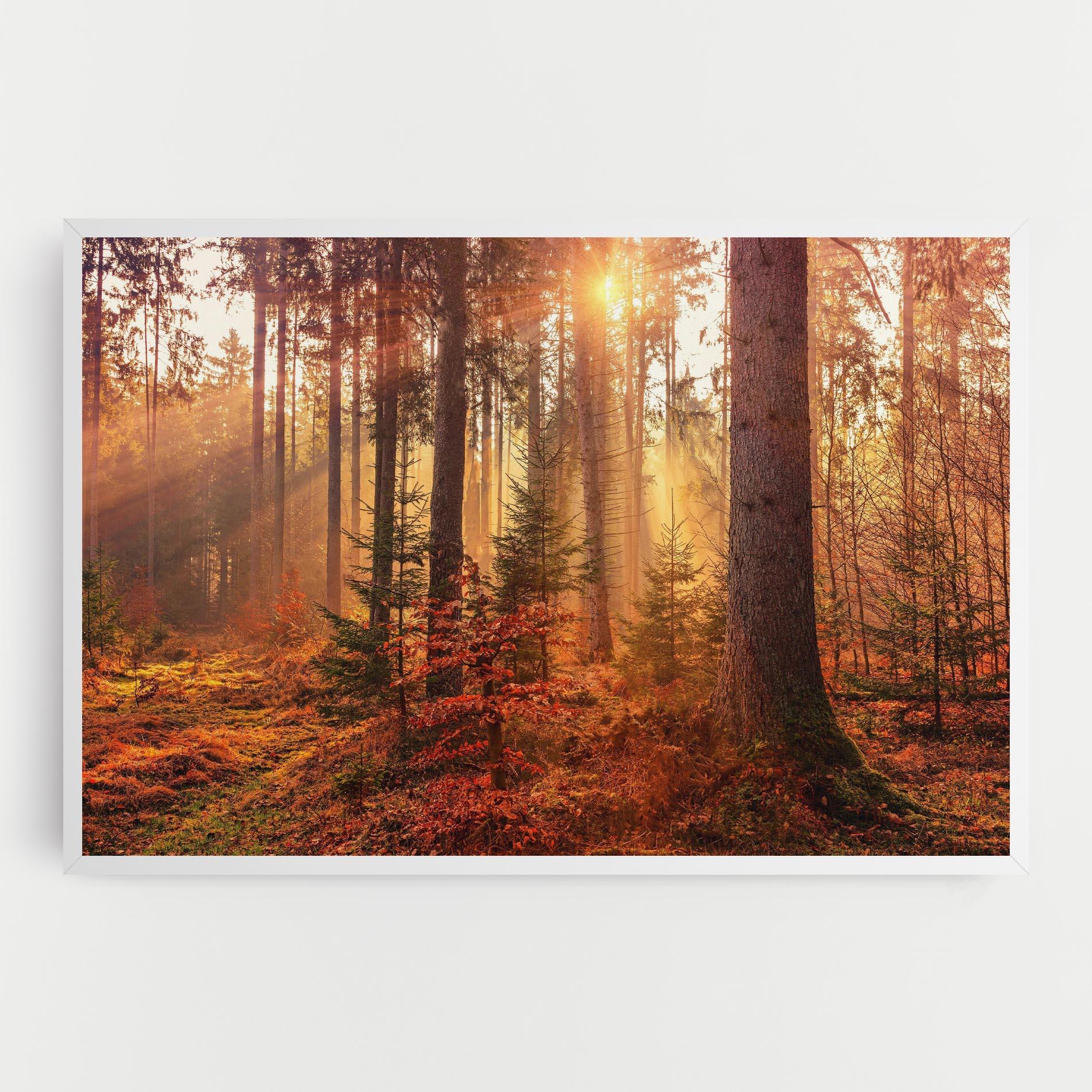 Tablou Canvas Orange Light Forest mockup 0