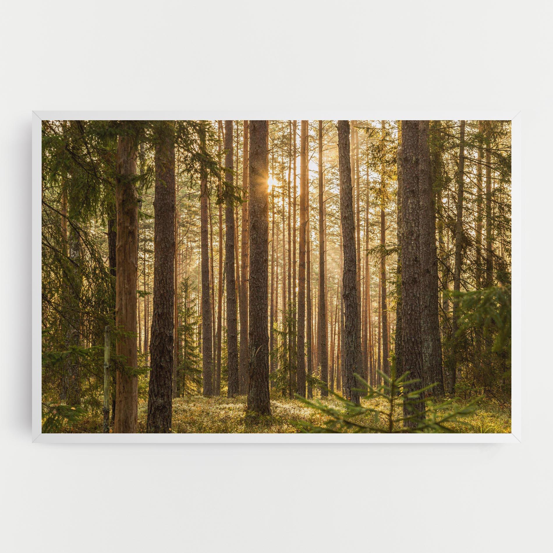 Tablou Canvas Sunrise Forest mockup 0