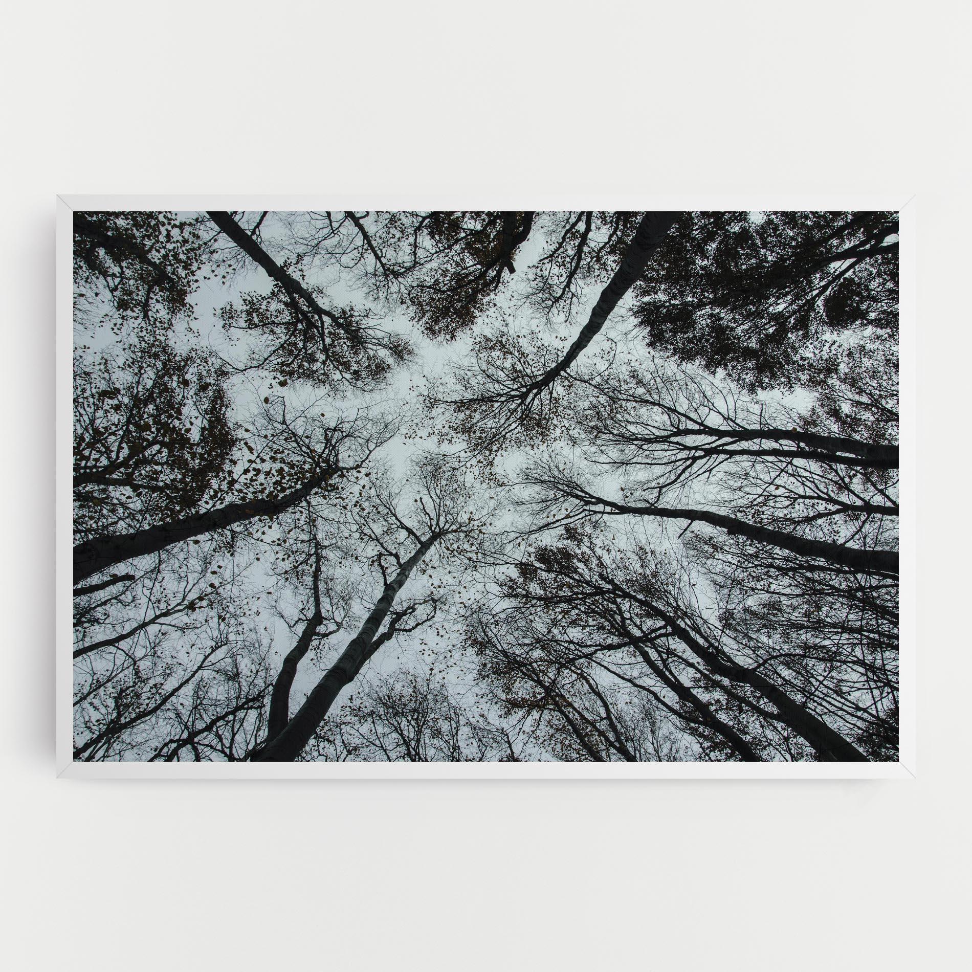 Tablou Canvas Trees Touching mockup 0