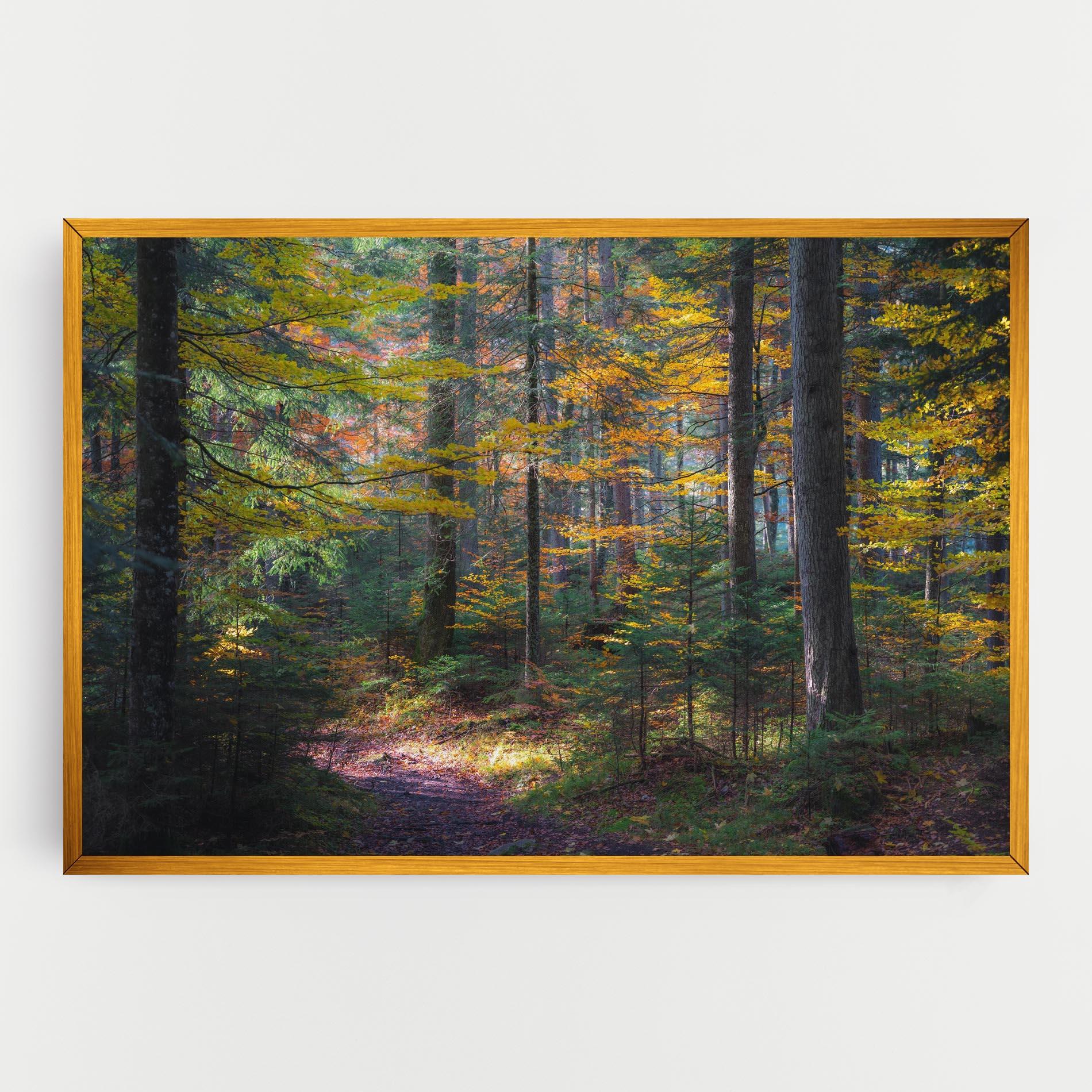 Tablou Canvas Dreamy Path Dorest mockup 0