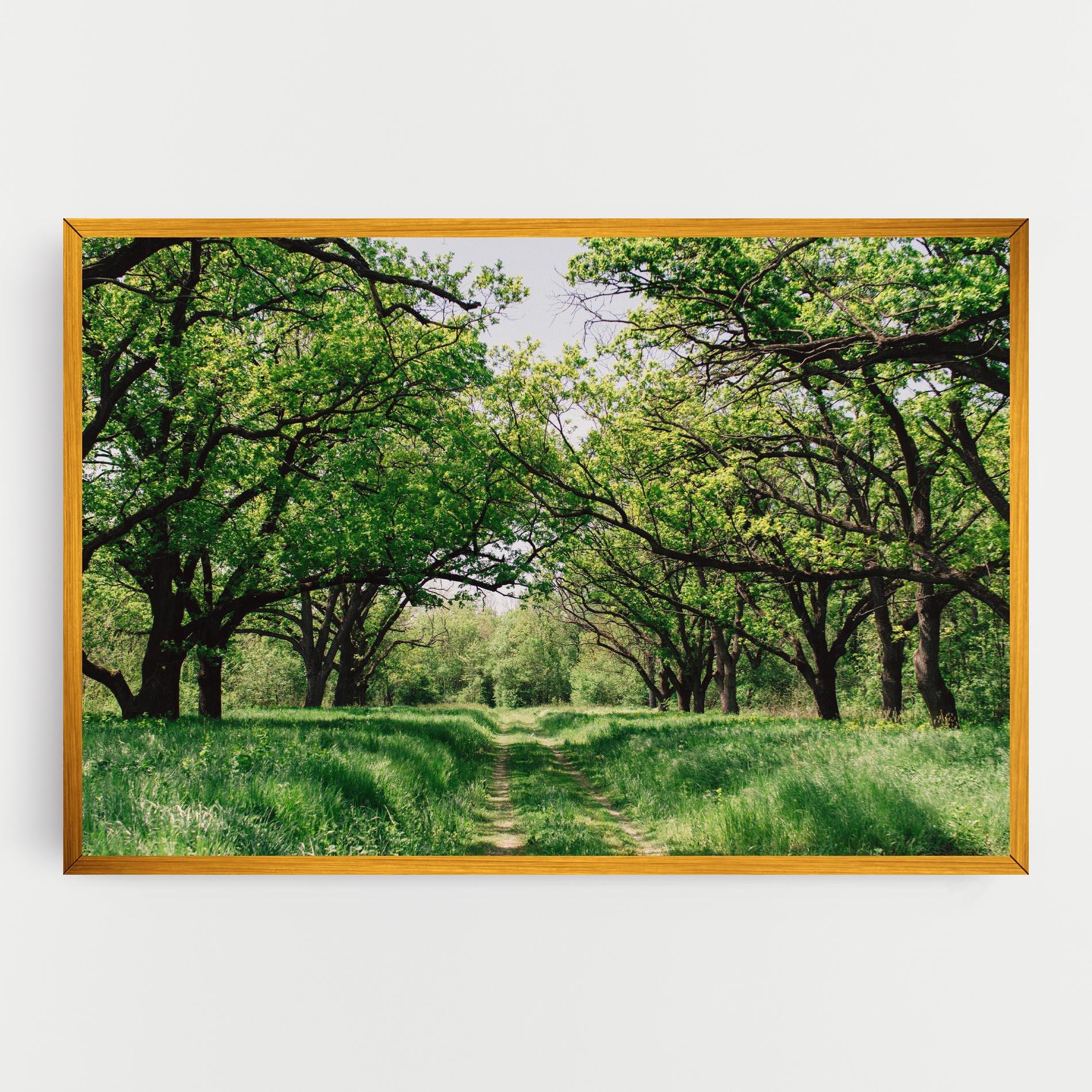 Tablou Canvas Forest Green Path mockup 0