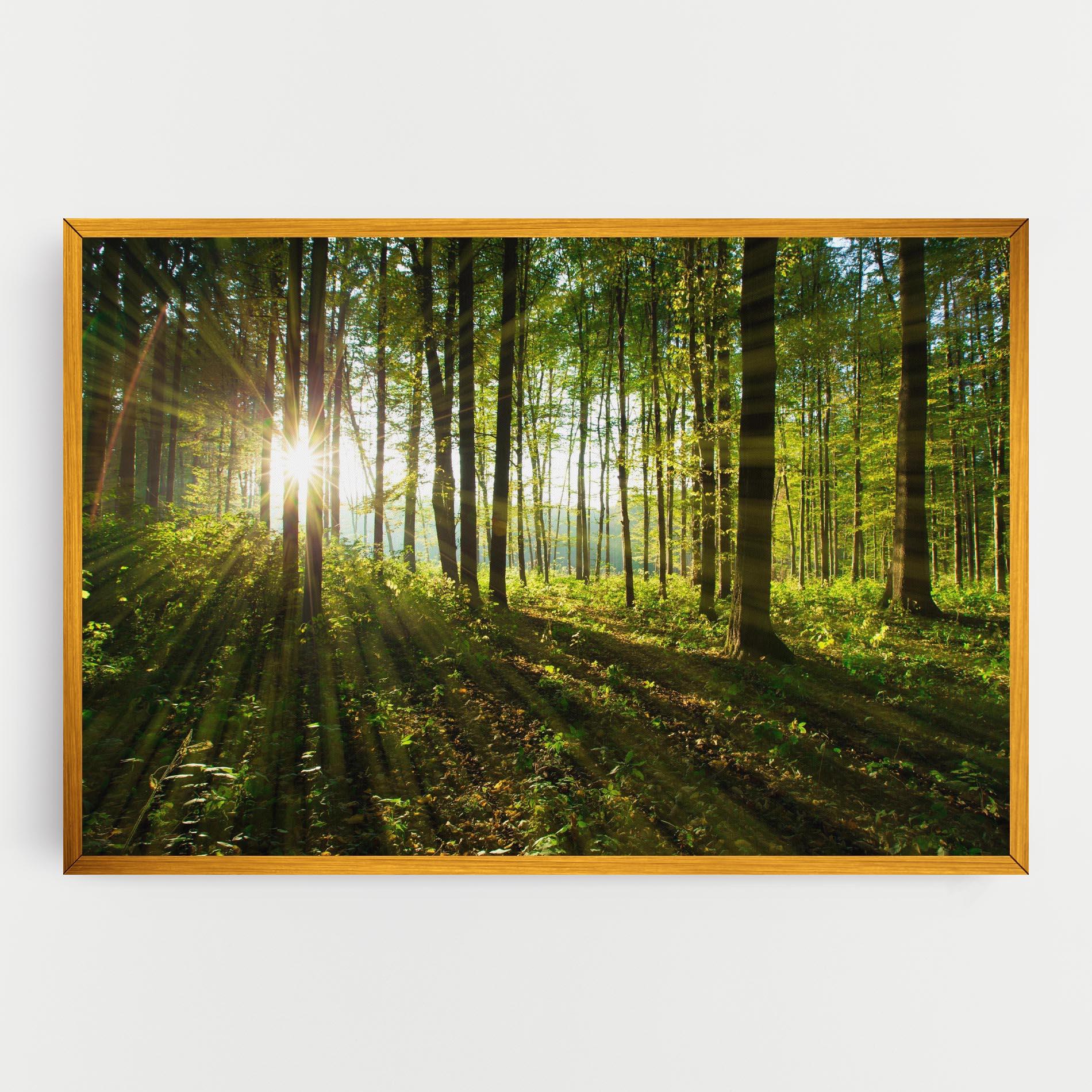 Tablou Canvas Green Light Forest mockup 0