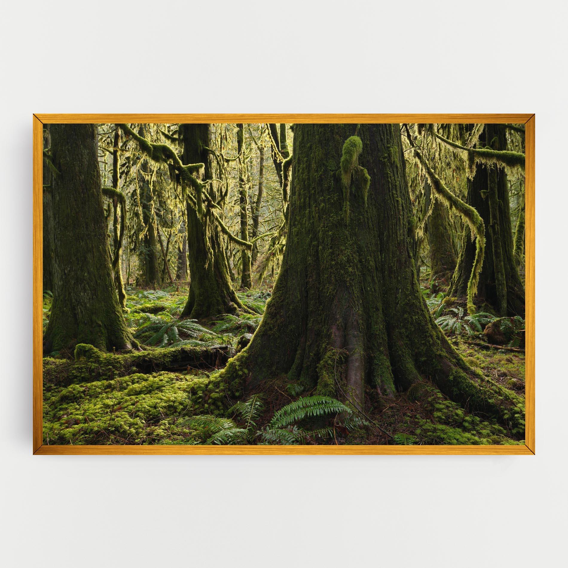 Tablou Canvas Green Moss Forest mockup 0