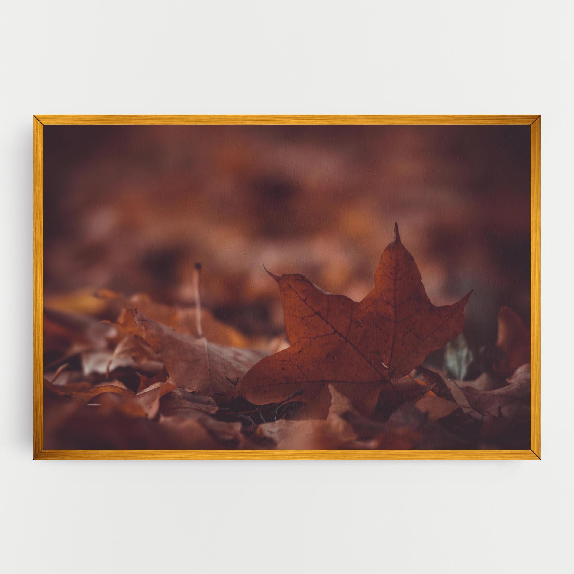 Tablou Canvas Kristian Seedorff Bl1jBUEIeo8 Unsplash mockup 0